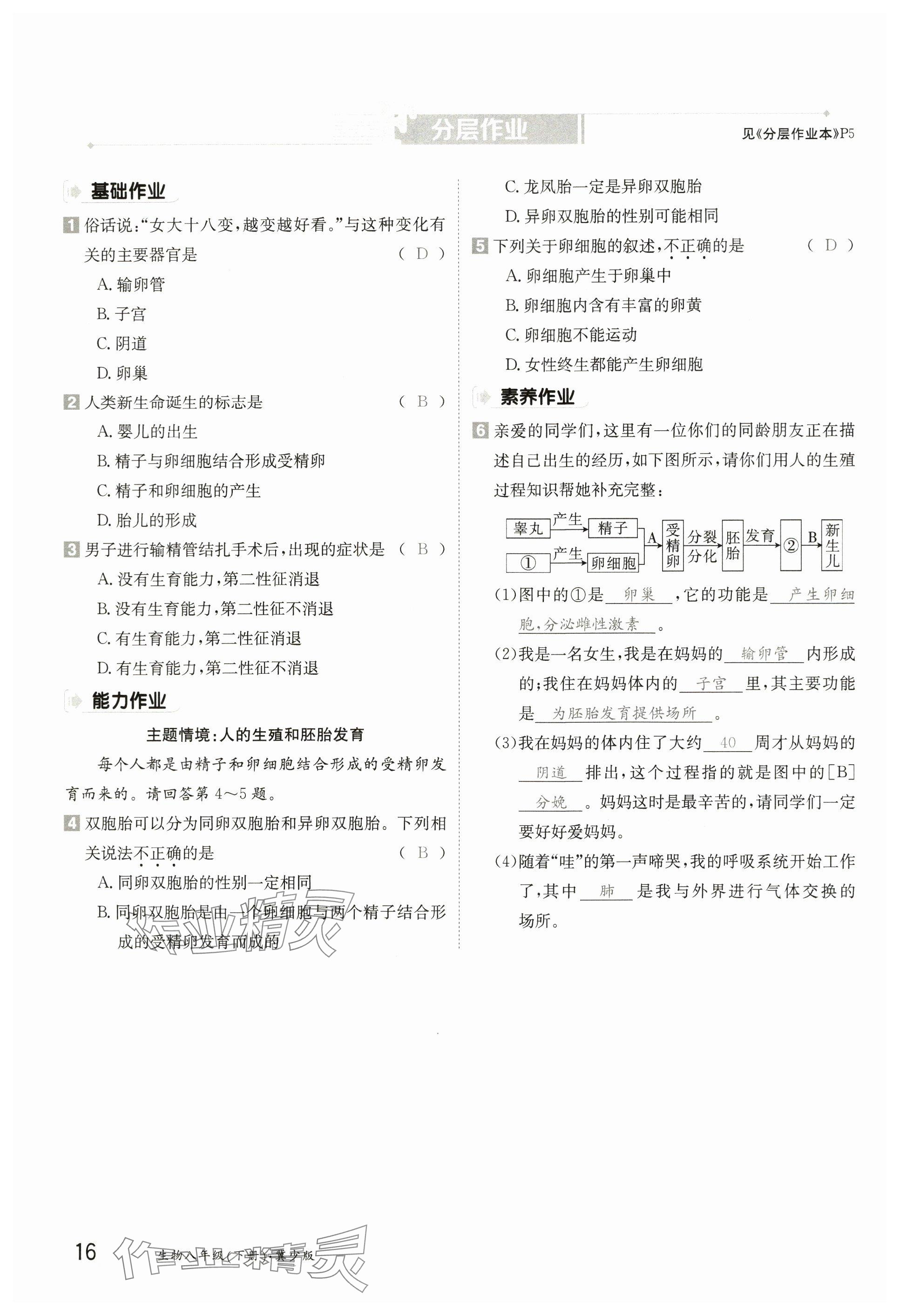 2025年金太陽導學案八年級生物下冊冀少版 參考答案第16頁