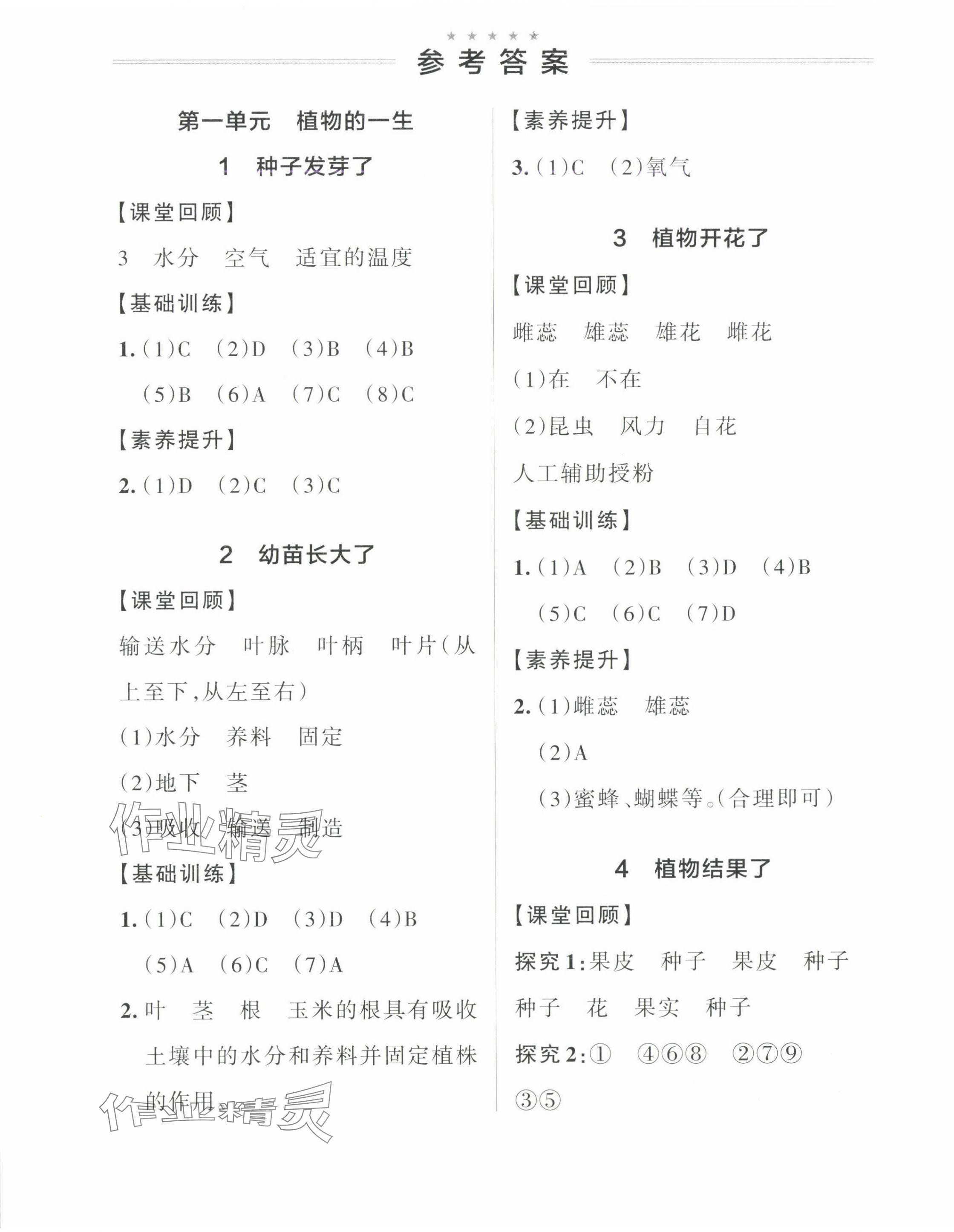 2025年綠卡小學創新作業本三年級科學下冊蘇教版 參考答案第1頁