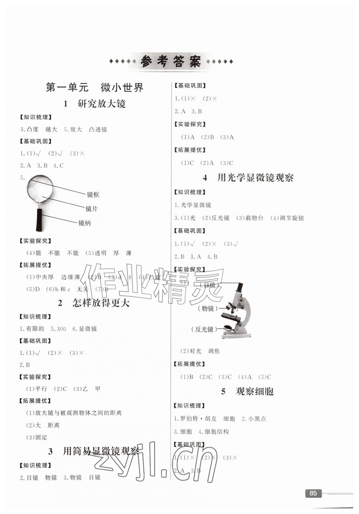 2026年同步练习山东文艺出版社五年级科学上册教科版&nbsp;第1页