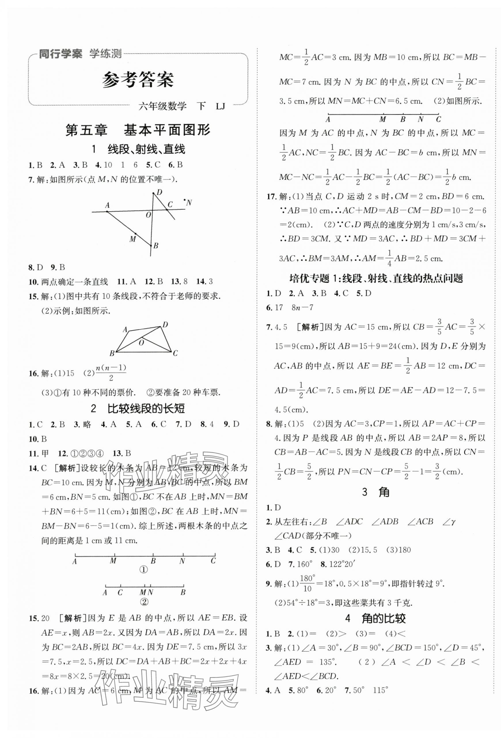 2024年同行學案六年級數(shù)學下冊魯教版 第1頁