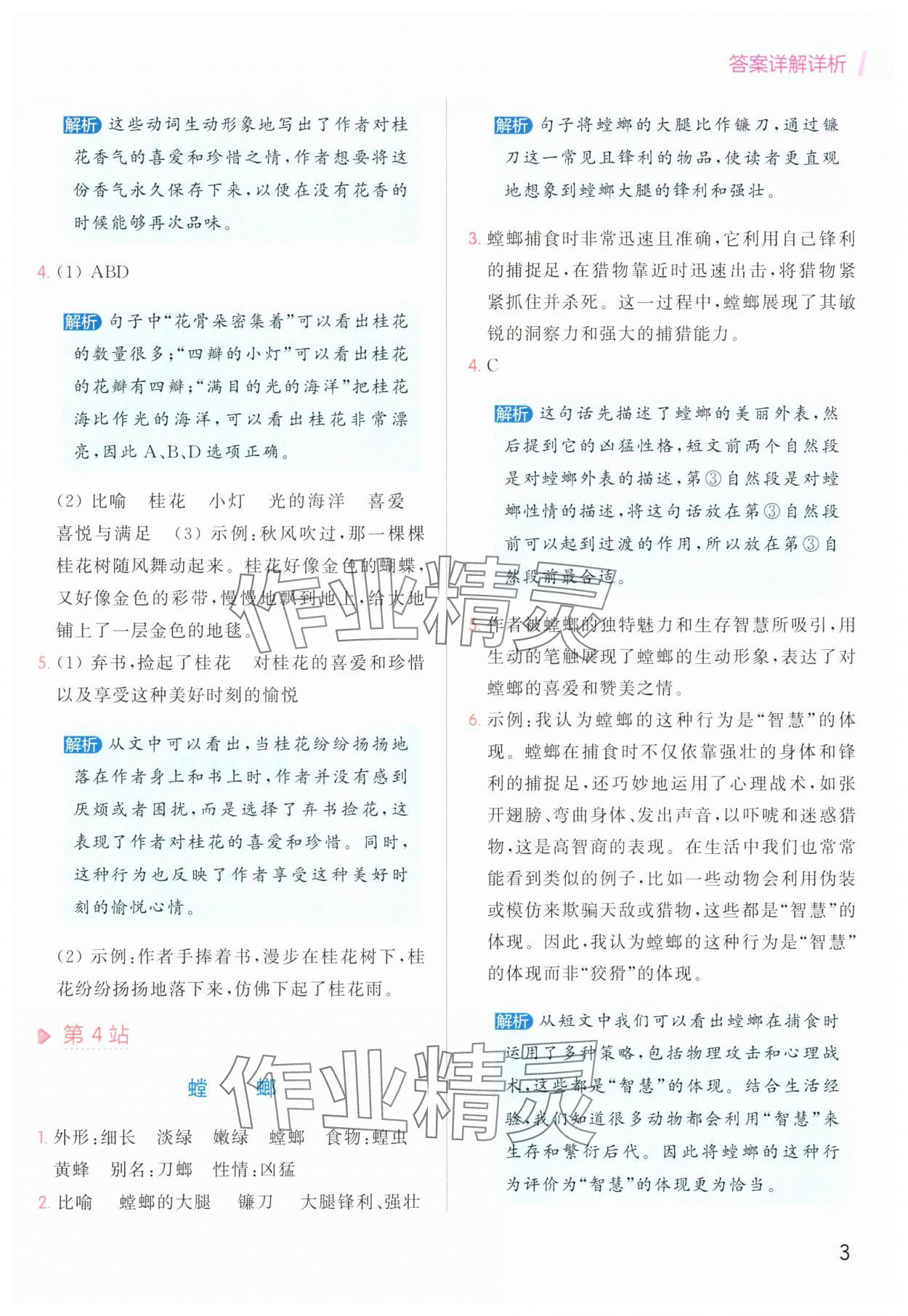 2025年亮点给力同步阅读三年级语文下册人教版&nbsp;参考答案第3页
