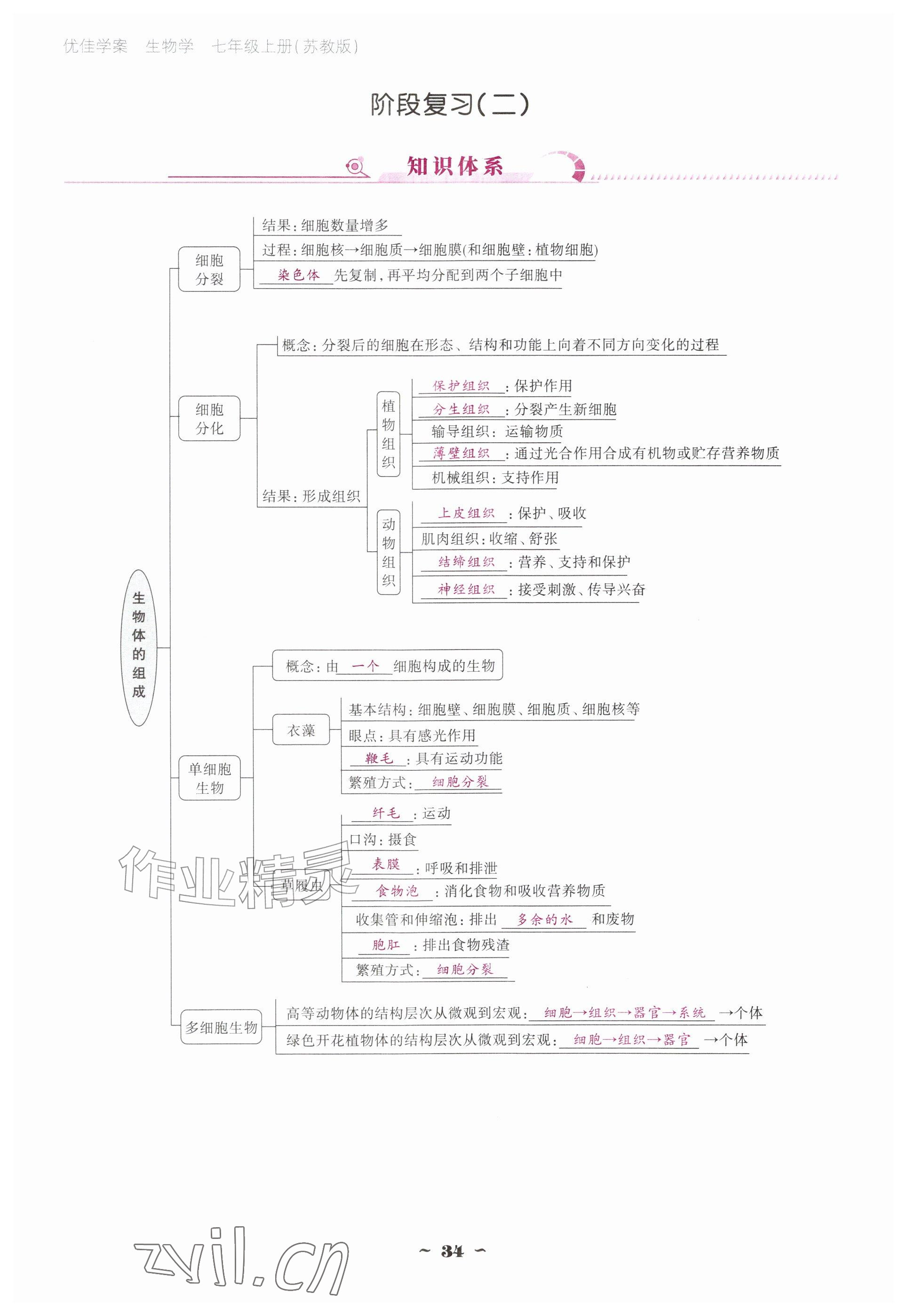 2026年云南省标准教辅优佳学案七年级历史上册人教版&nbsp;参考答案第34页