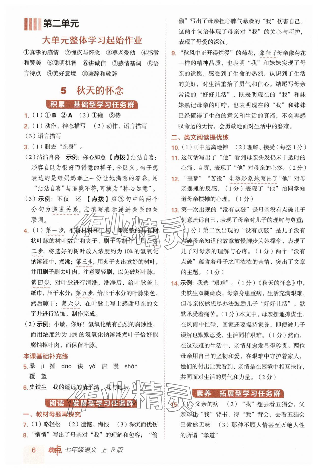 2025年綜合應(yīng)用創(chuàng)新題典中點七年級語文上冊人教版 第6頁