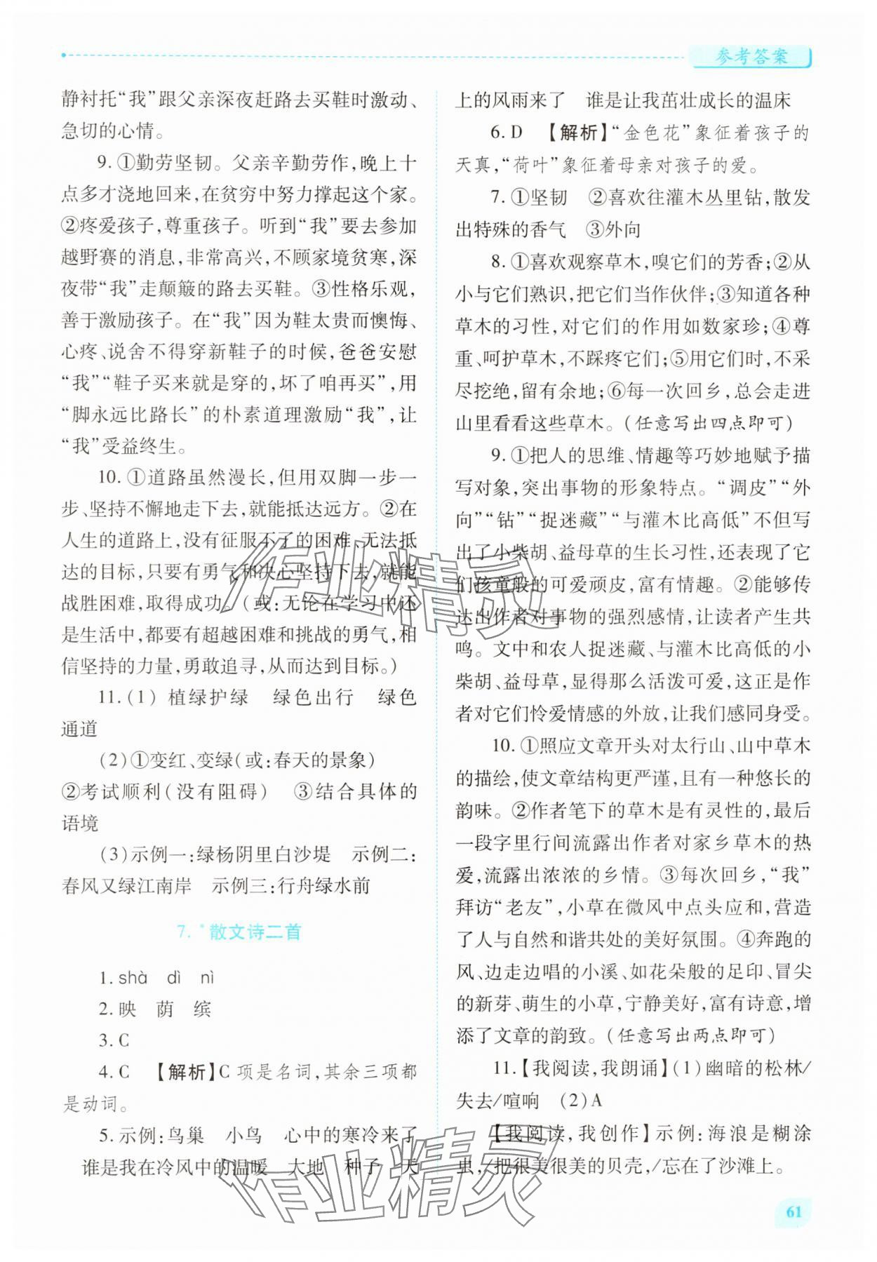 2025年绩优学案七年级语文上册人教版 第5页