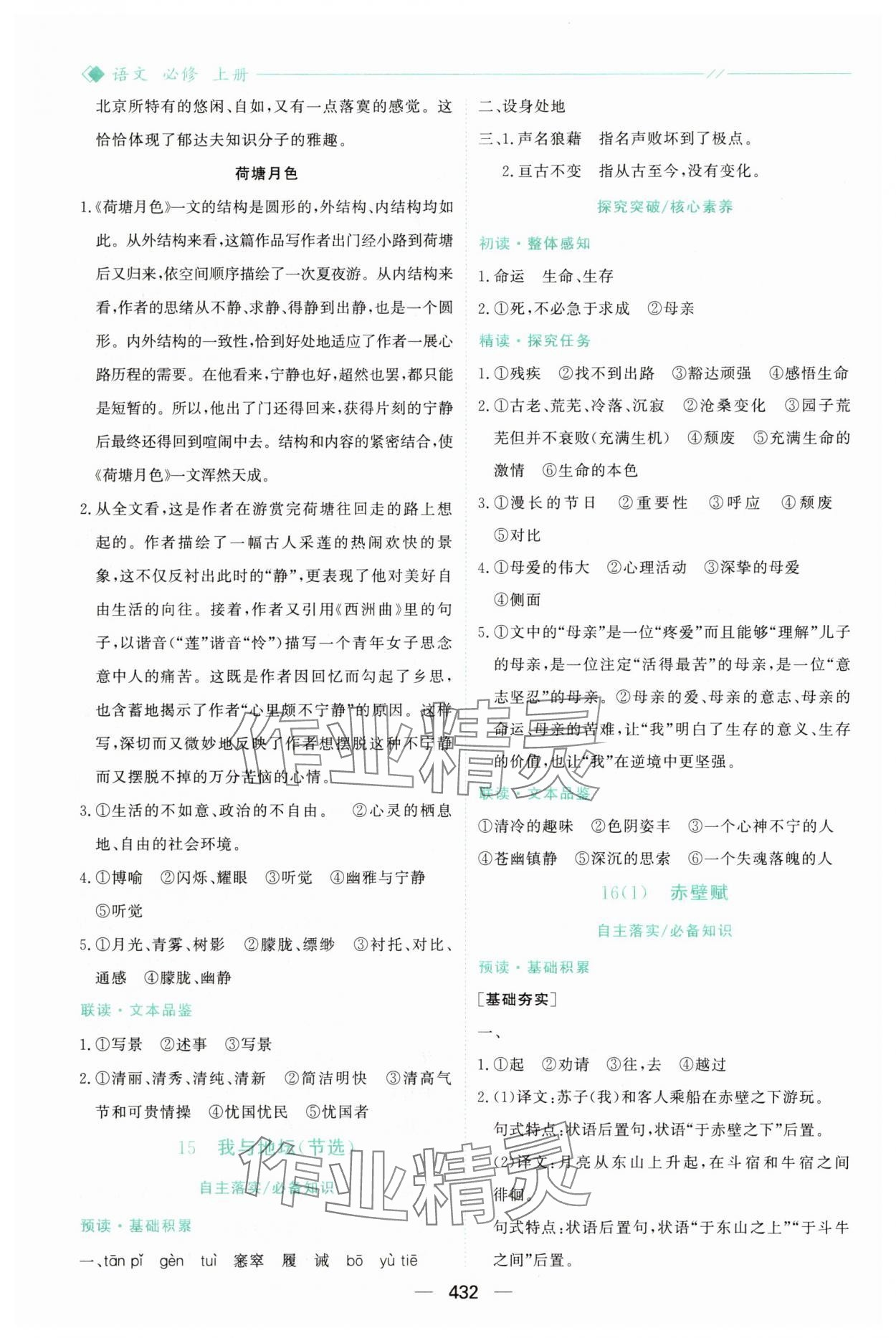 2025年新课程学习与测评高中语文必修上册人教版&nbsp;参考答案第19页