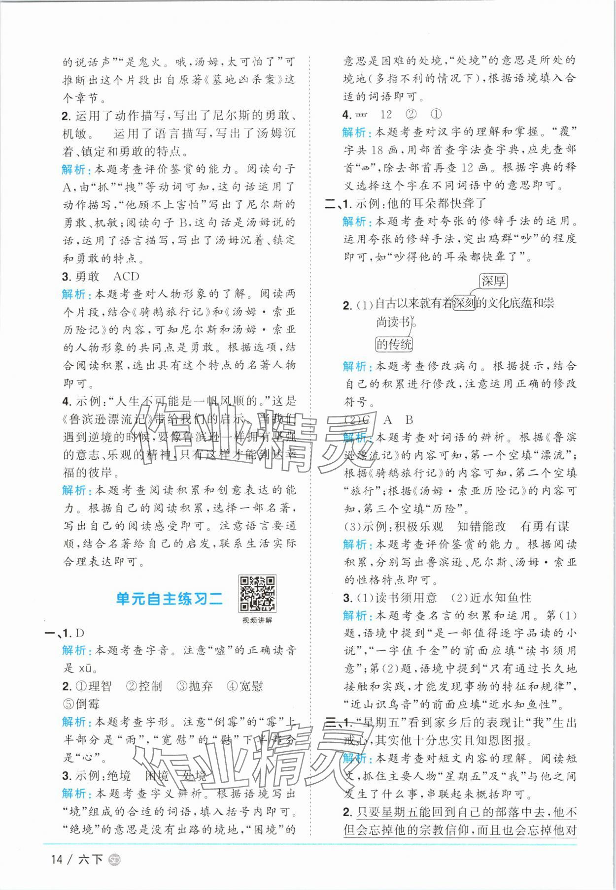 2025年阳光同学课时优化作业六年级语文下册人教版菏泽专版 参考答案第14页