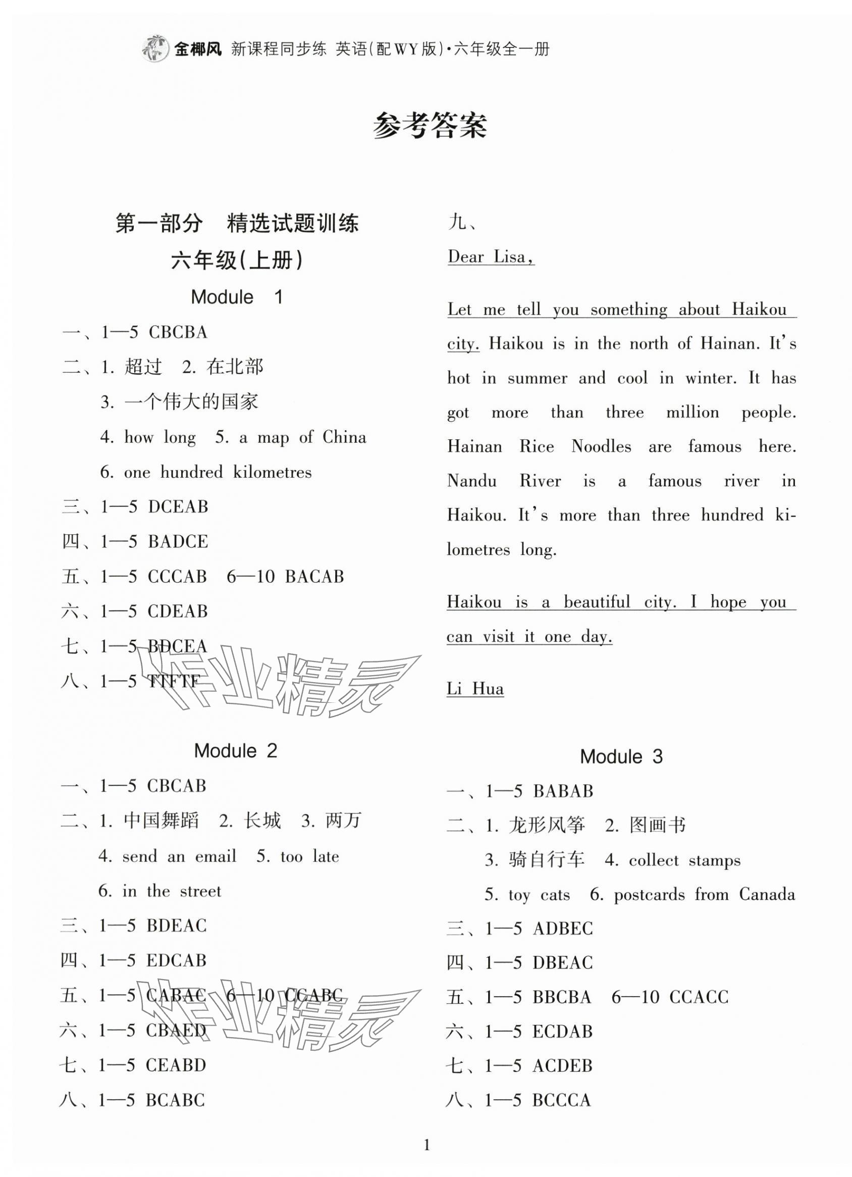 2025年金椰风新课程同步练六年级英语全一册外研版 第1页