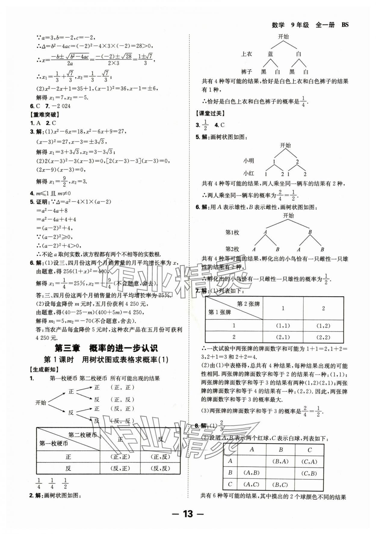 2024年全程突破九年级数学全一册北师大版 第13页