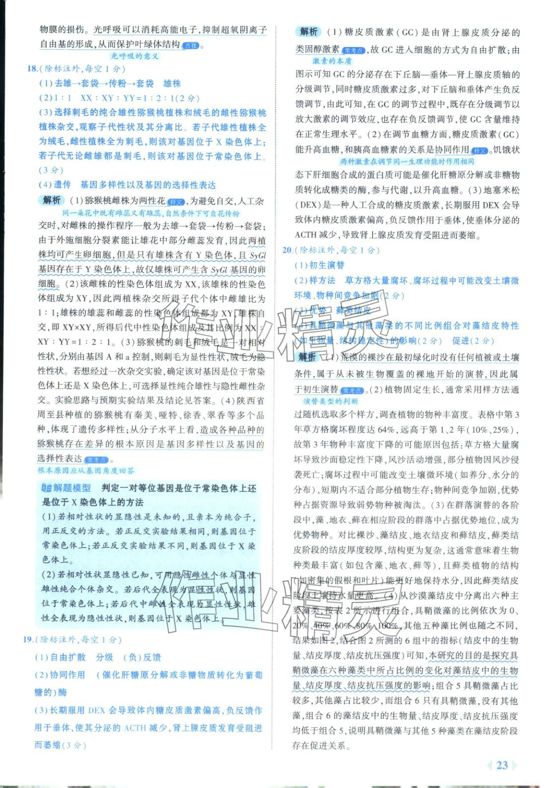 2026年53金卷优选卷汇编高中生物陕晋青宁专版&nbsp;第23页