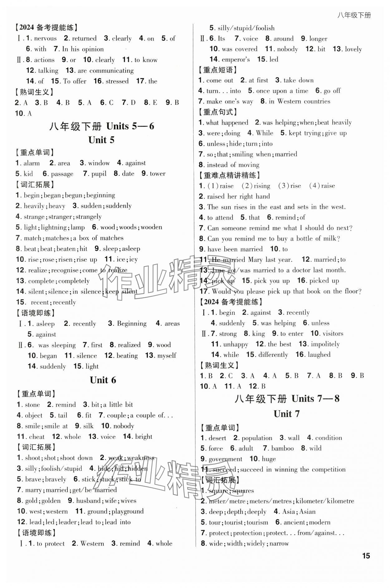 2024年考出好成绩山东新中考英语人教版 第15页