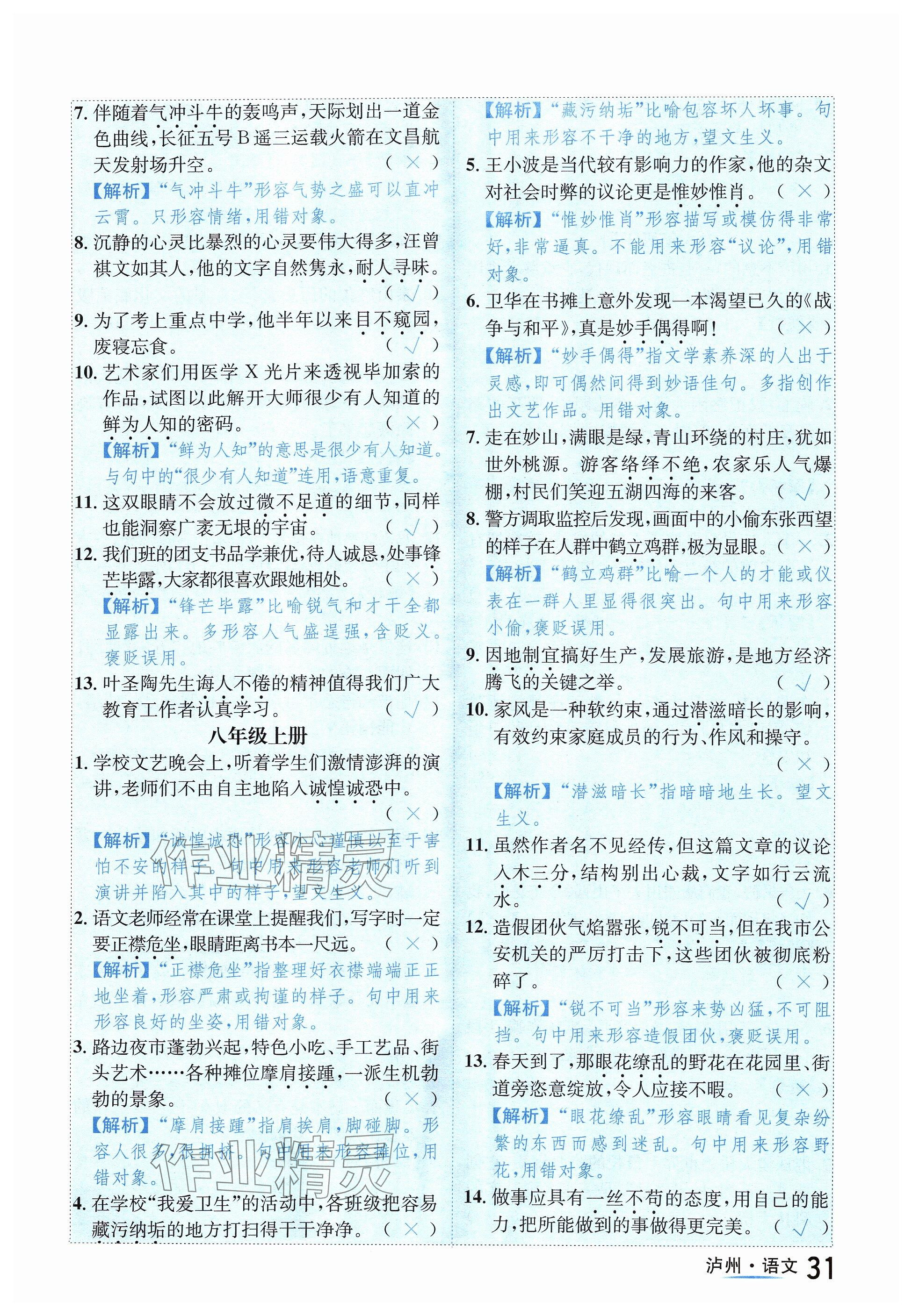 2024年国华考试中考总动员语文泸州专版 参考答案第31页