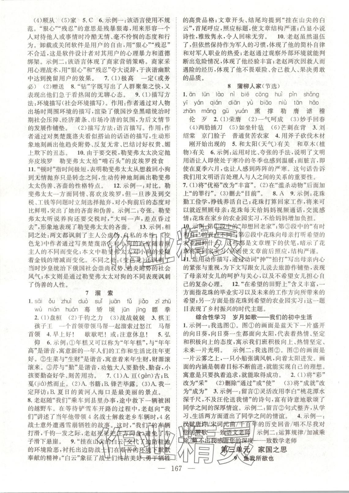 2025年名師學(xué)案九年級語文下冊人教版 第3頁