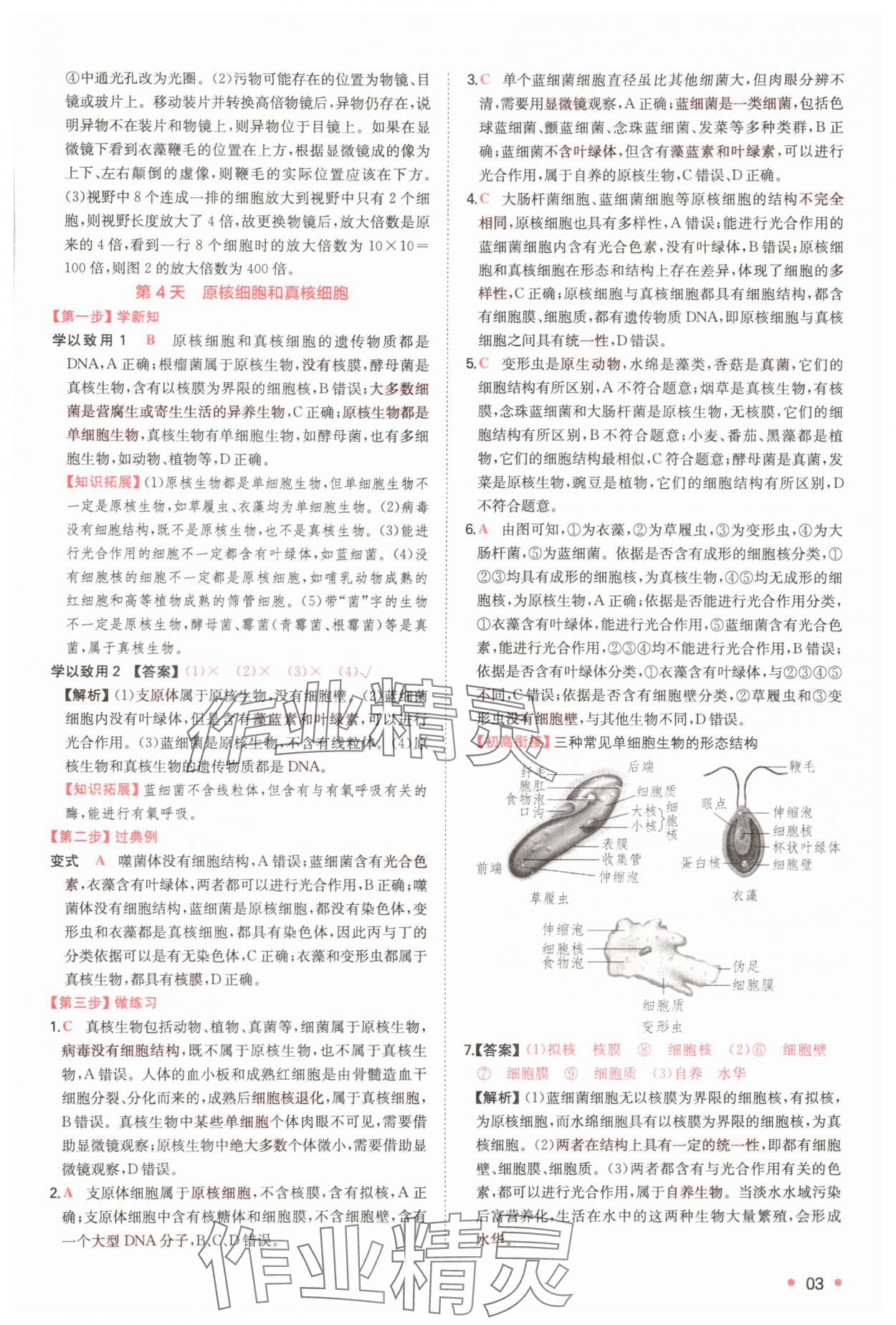 2025年一本预备新高一生物 第3页