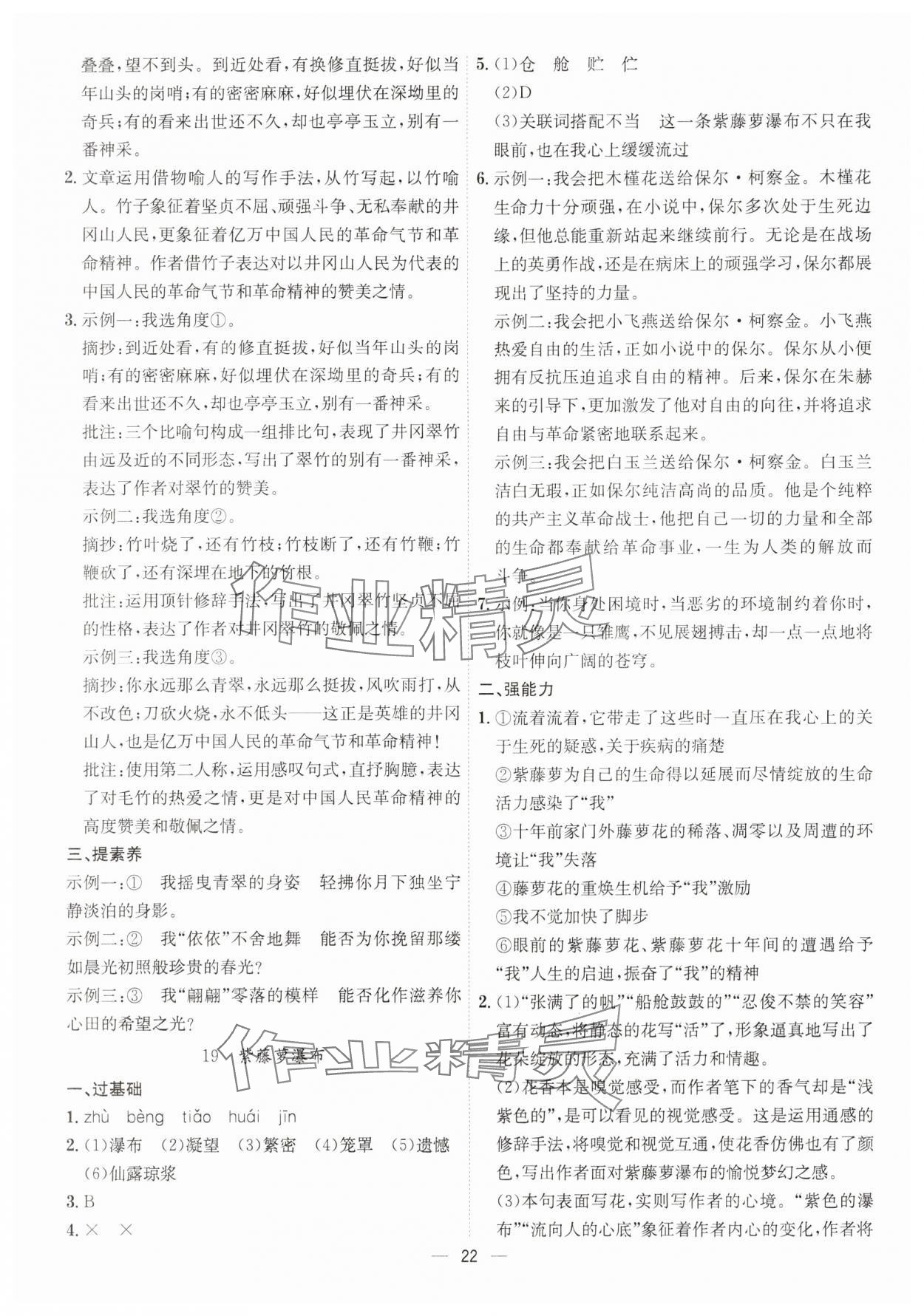 2025年考點專練七年級語文下冊人教版深圳專版 第22頁