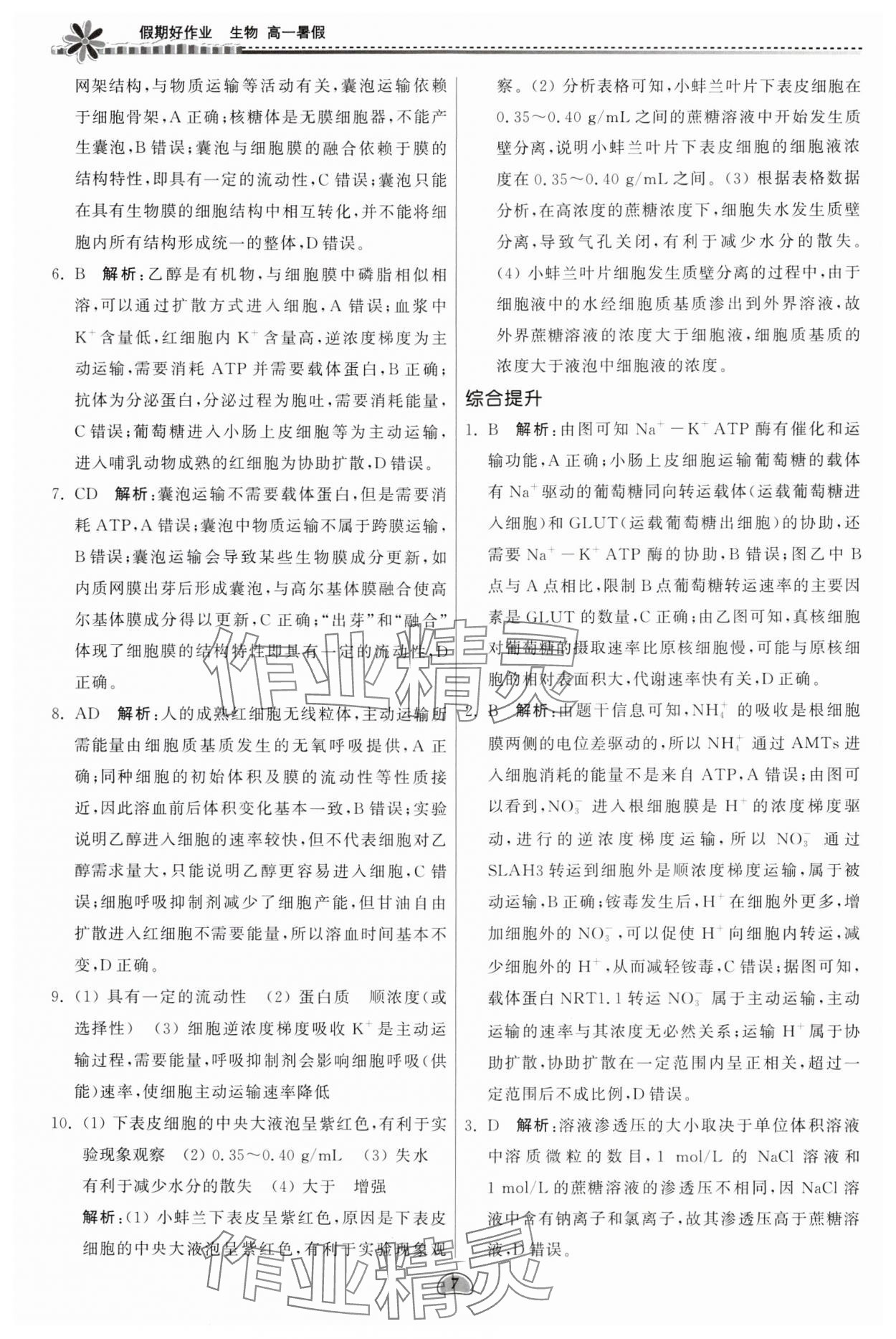 2024年假期好作业暨期末复习暑假高一生物 参考答案第7页