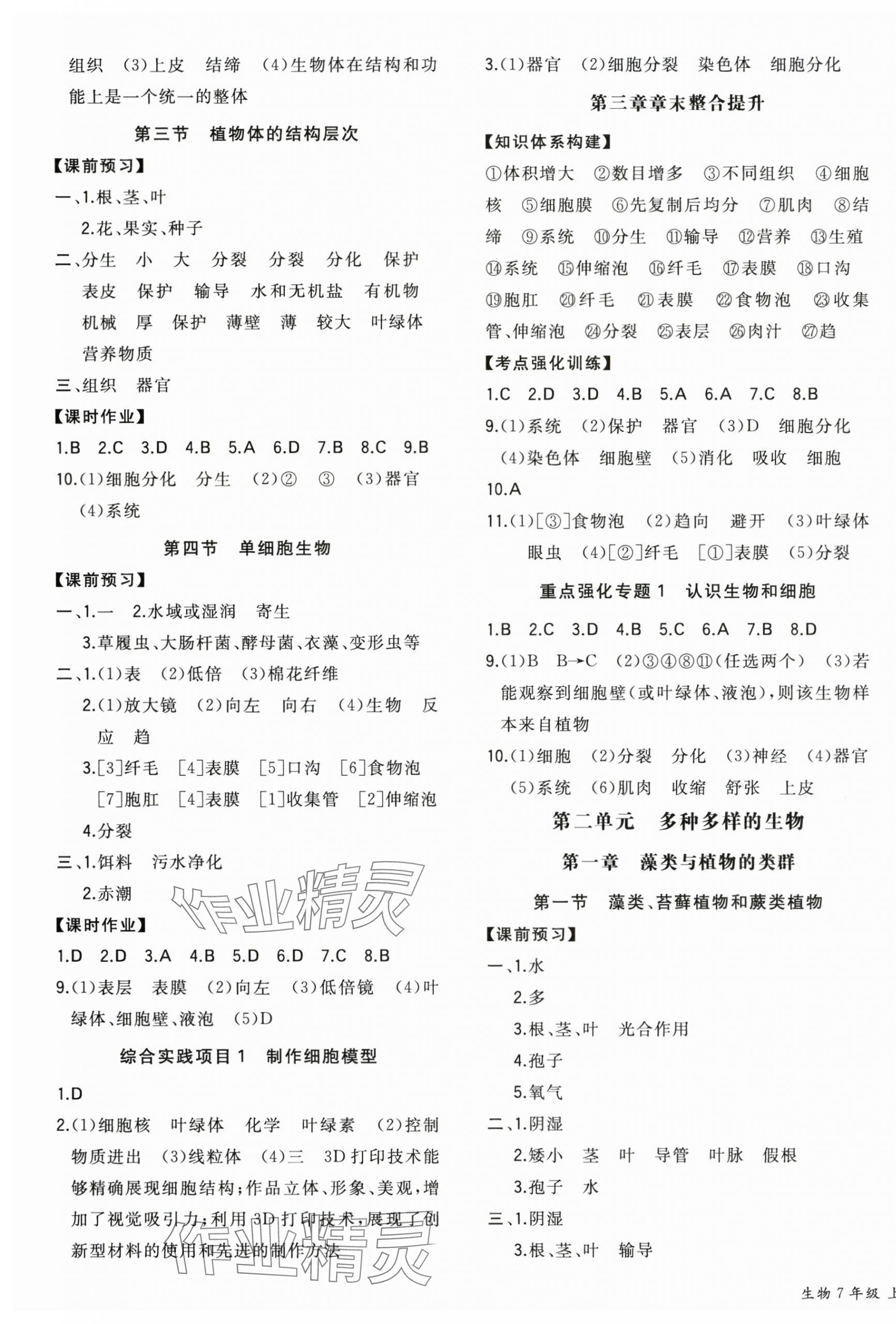 2025年一本同步訓(xùn)練七年級(jí)生物上冊(cè)人教版 參考答案第3頁(yè)