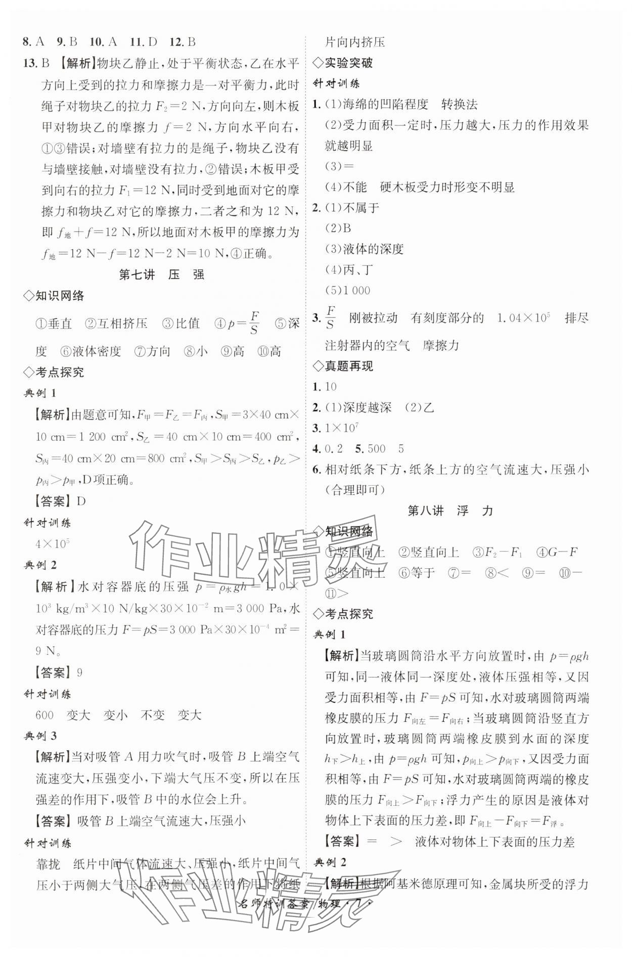 2024年名师特训物理安徽专版&nbsp;第7页