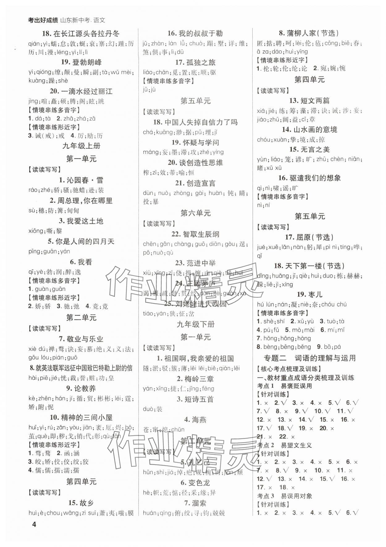 2025年考出好成績(jī)中考總復(fù)習(xí)語(yǔ)文山東專版 參考答案第3頁(yè)