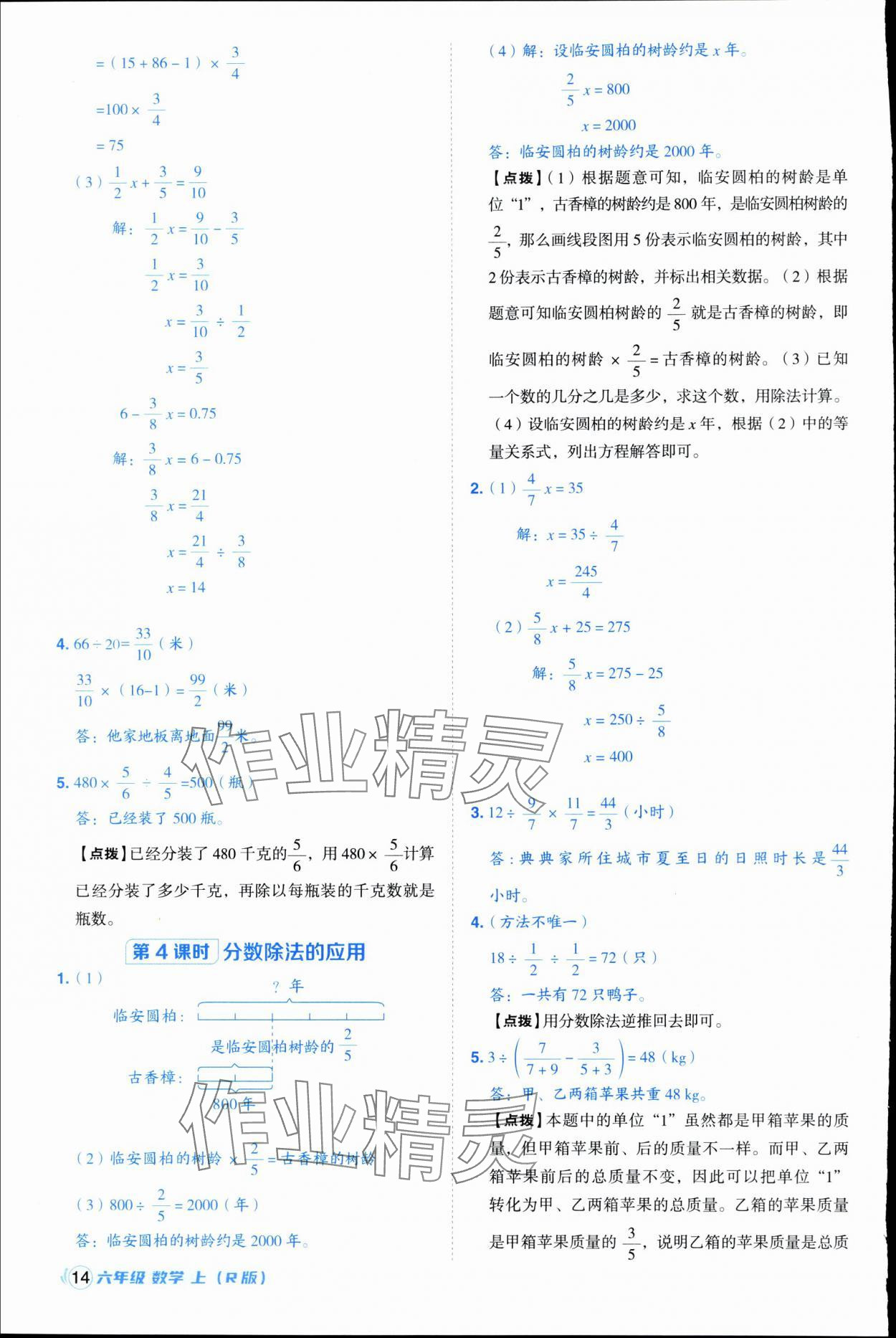 2025年综合应用创新题典中点六年级数学上册人教版浙江专版 第14页