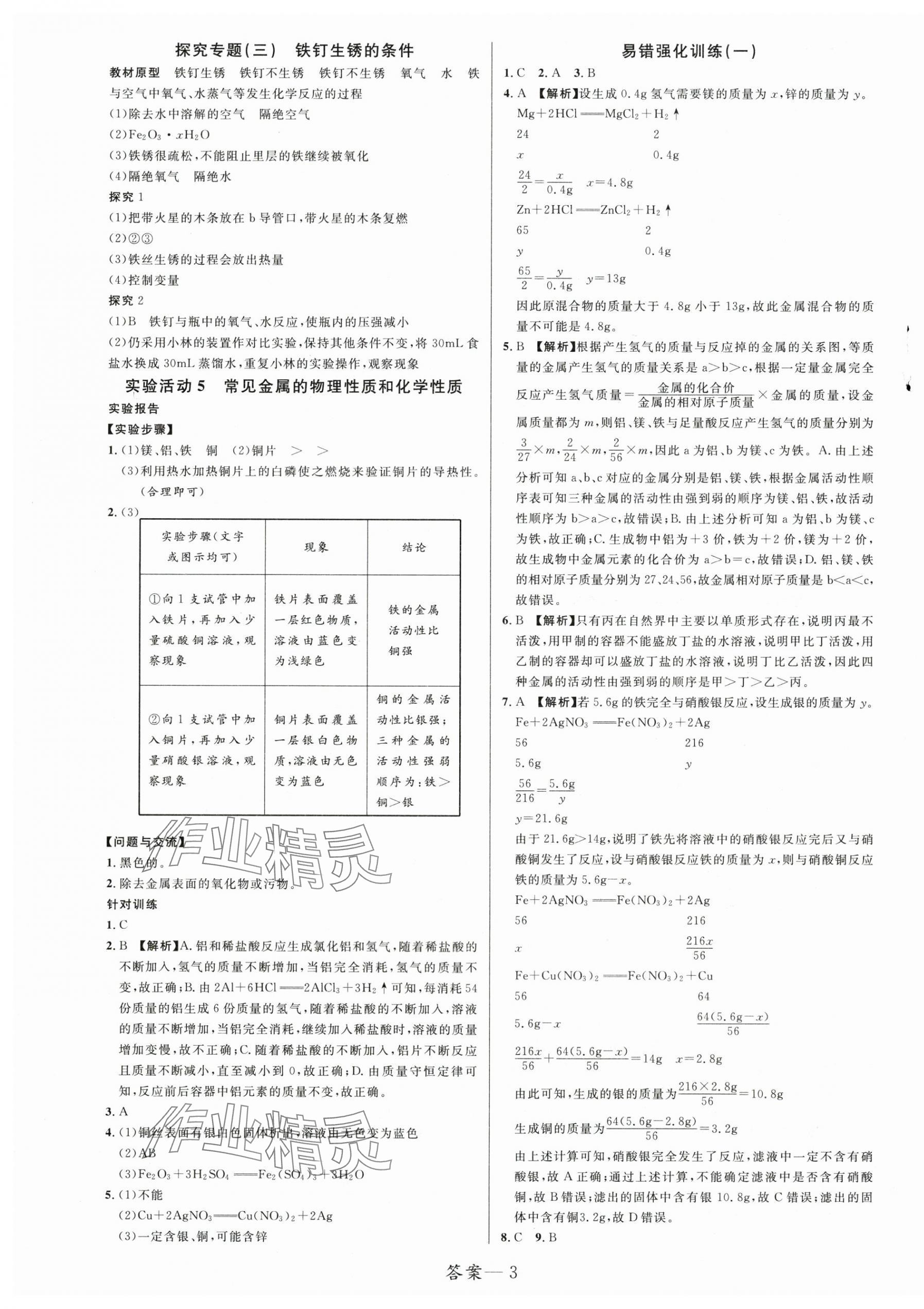 2025年一線調研學業(yè)測評九年級化學下冊人教版 第3頁