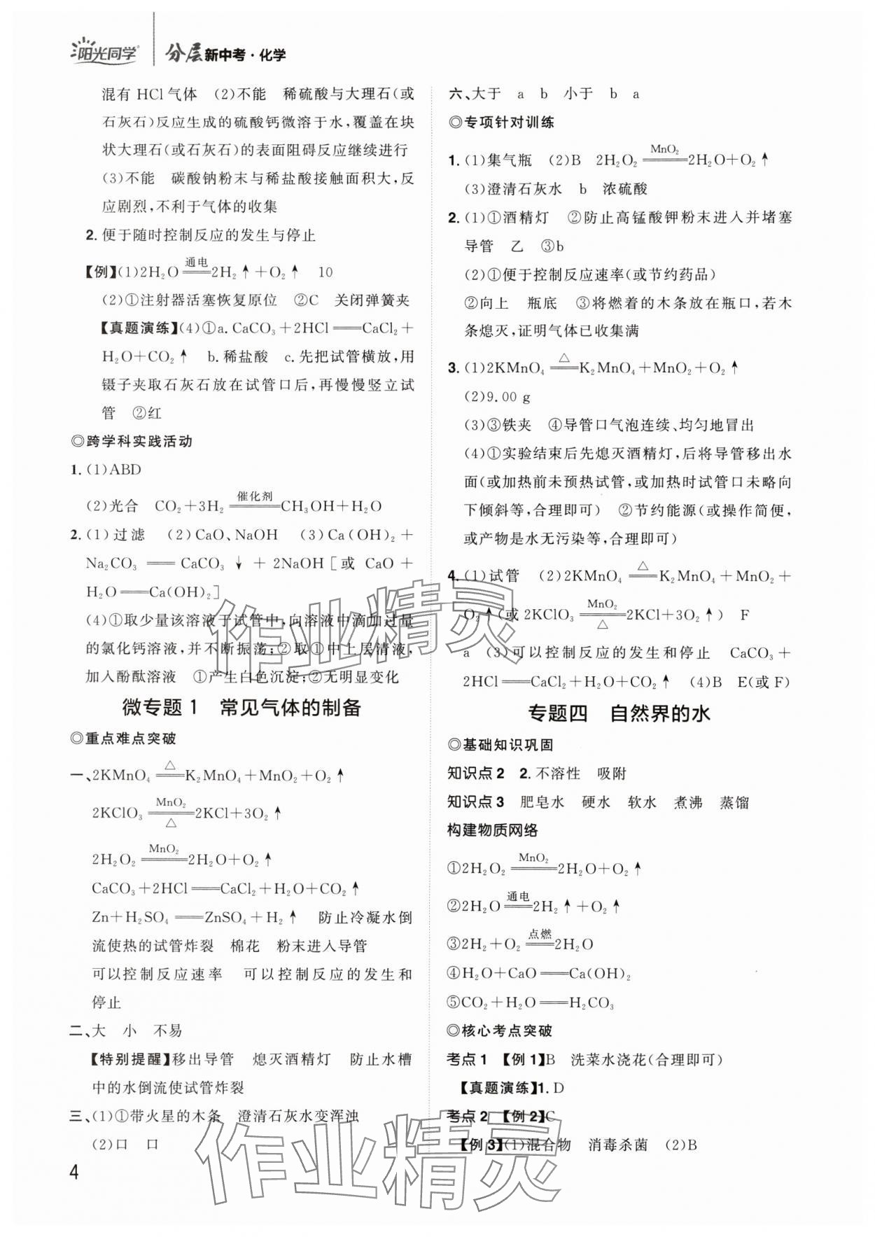 2024年陽光同學分層新中考化學福建專版 參考答案第4頁