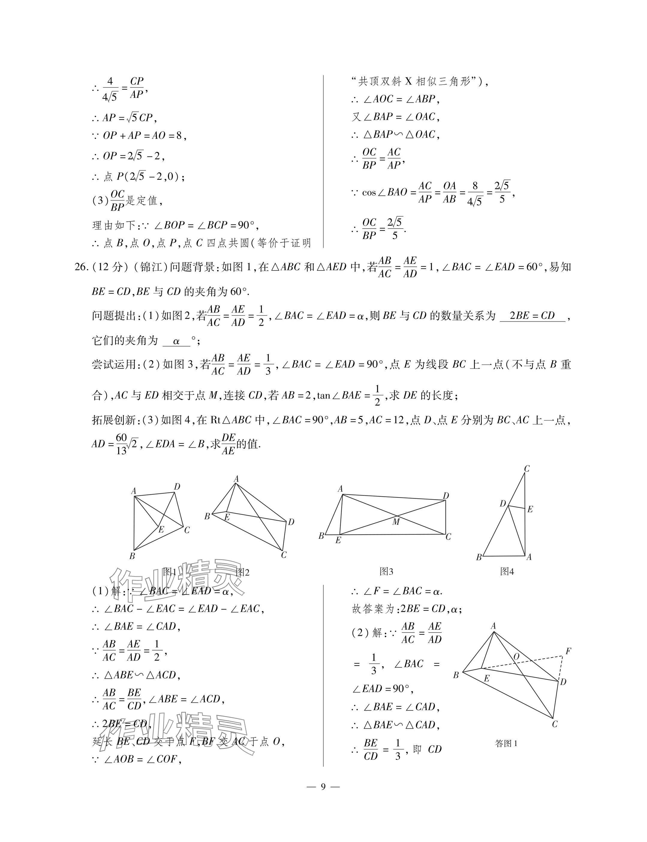 2025年每周最佳方案九年级数学全一册北师大版 参考答案第9页