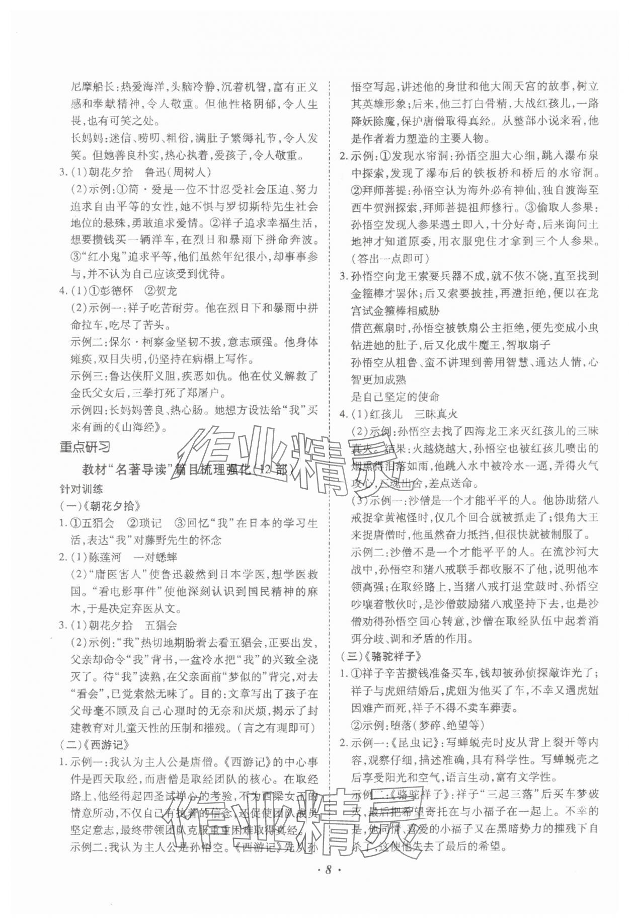 2024年本土攻略精準(zhǔn)復(fù)習(xí)方案語(yǔ)文云南專版 參考答案第8頁(yè)