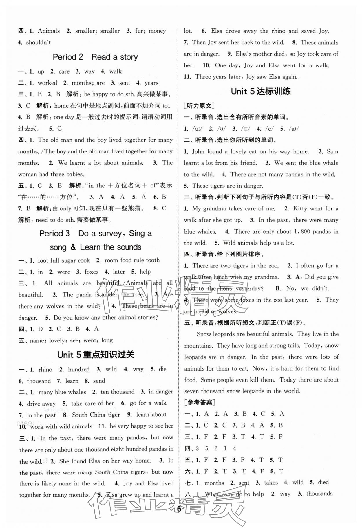 2024年通城學典課時作業(yè)本六年級英語上冊滬教版 參考答案第6頁