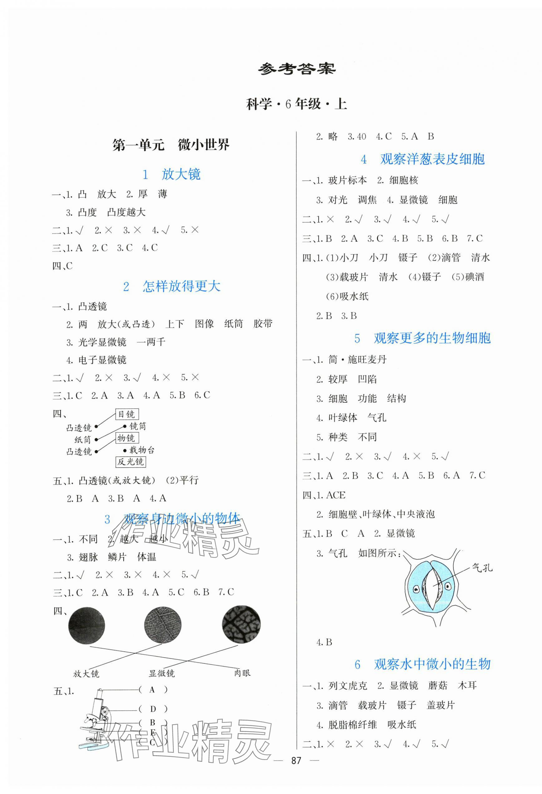 2025年亮點(diǎn)激活提優(yōu)天天練六年級(jí)科學(xué)上冊(cè)教科版 第1頁(yè)