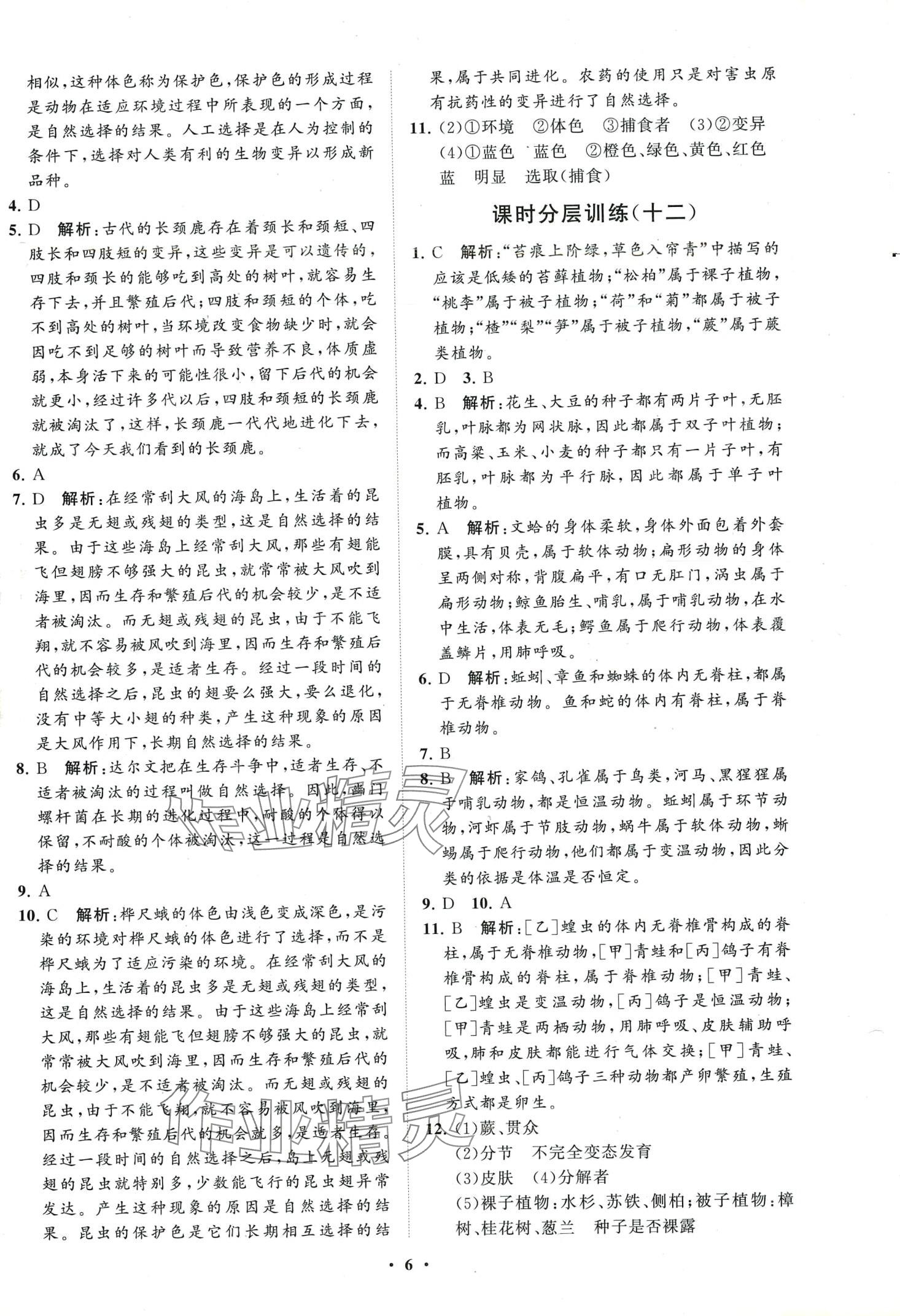 2024年同步练习册分层卷八年级生物下册鲁科版五四制 第6页