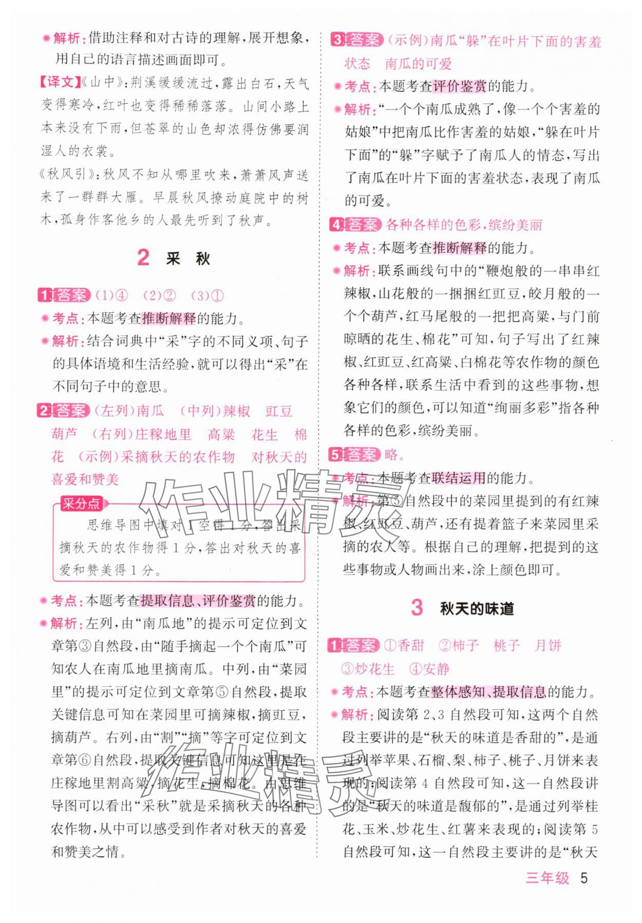 2025年阳光同学同步阅读素养测试三年级语文上册人教版&nbsp;第5页