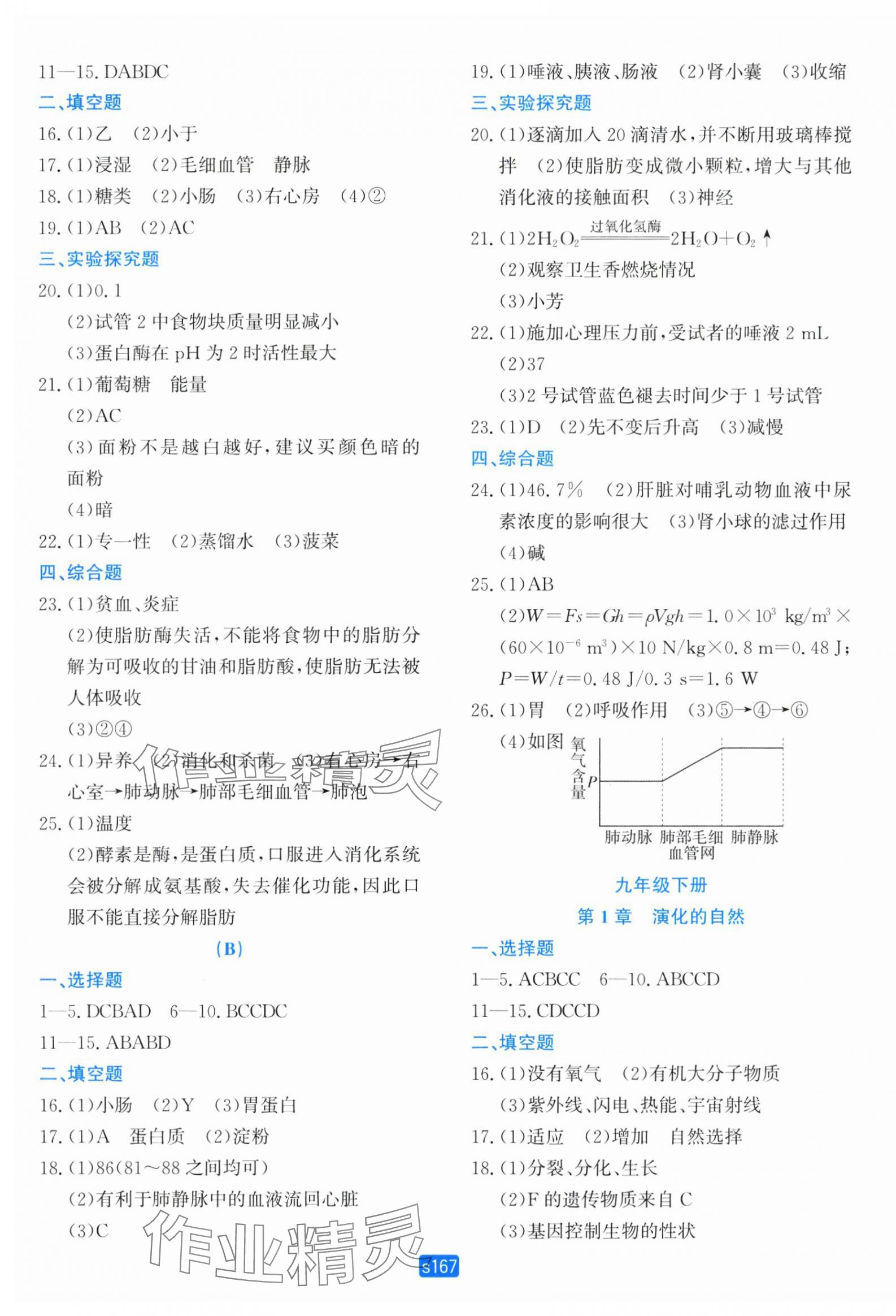 2025年初中全程階段測(cè)評(píng)卷九年級(jí)科學(xué)全一冊(cè)浙教版 第7頁