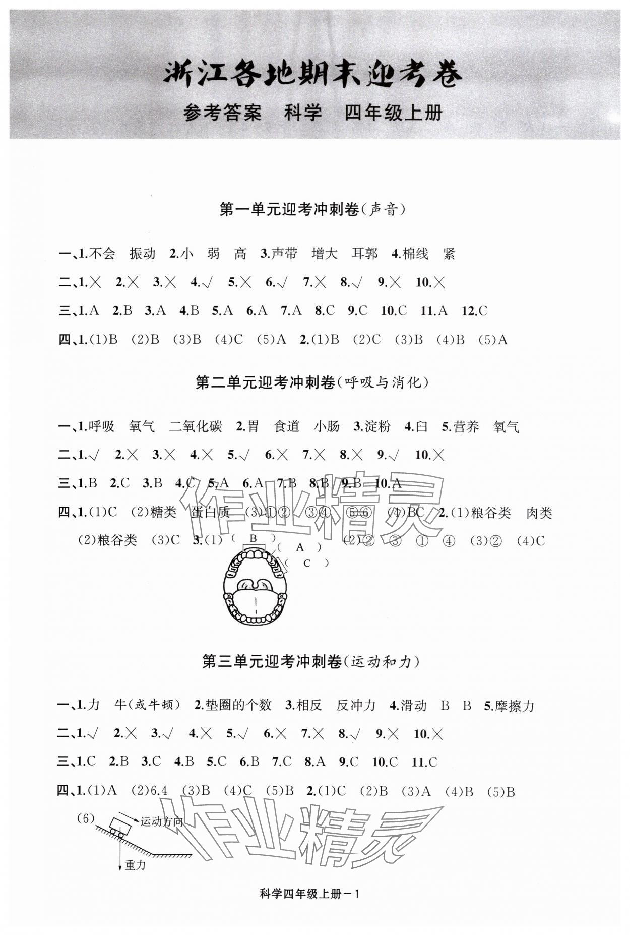 2023年浙江各地期末迎考卷四年級(jí)科學(xué)上冊(cè)教科版 第1頁