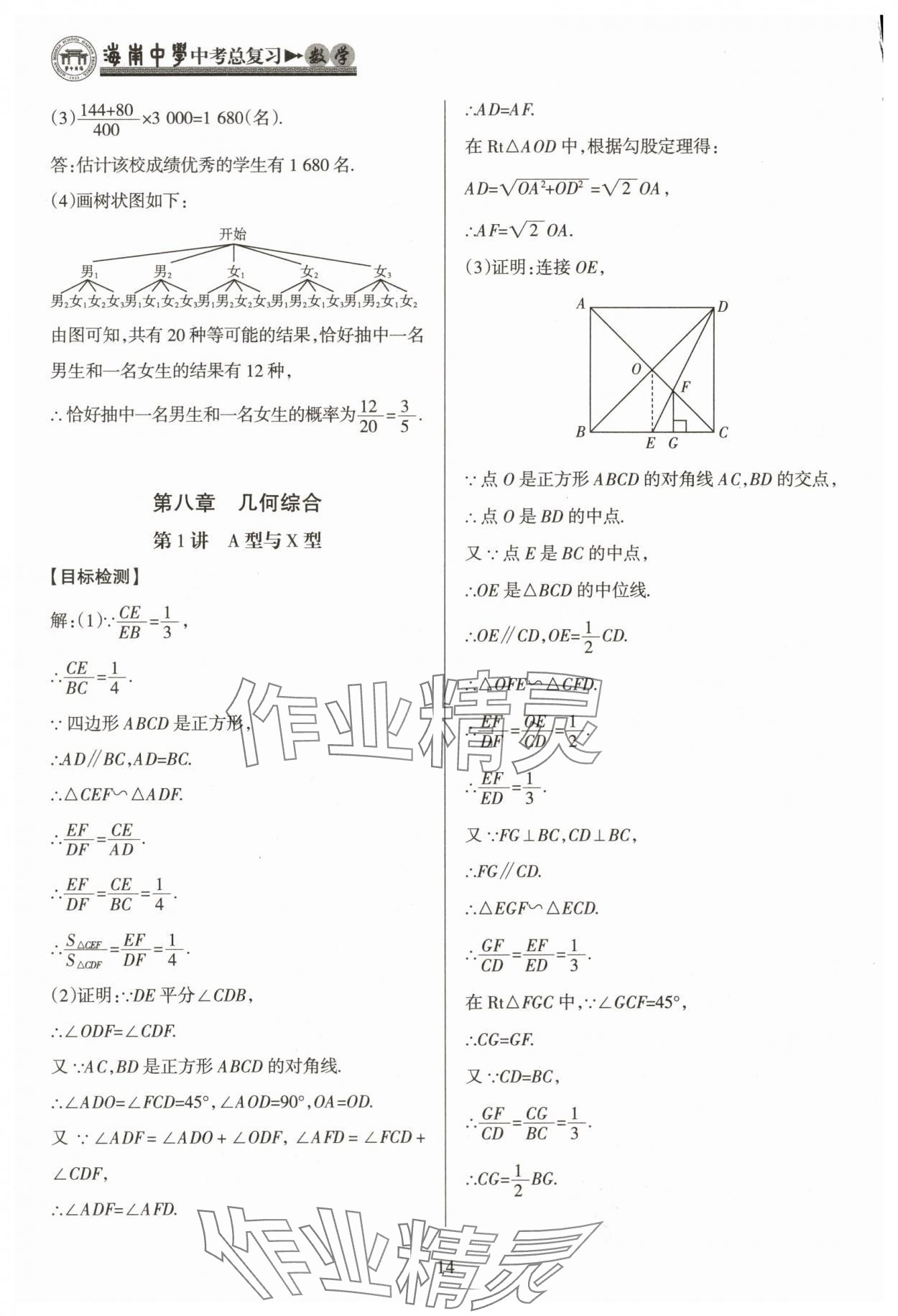 2024年海南中學(xué)中考總復(fù)習(xí)數(shù)學(xué) 參考答案第14頁