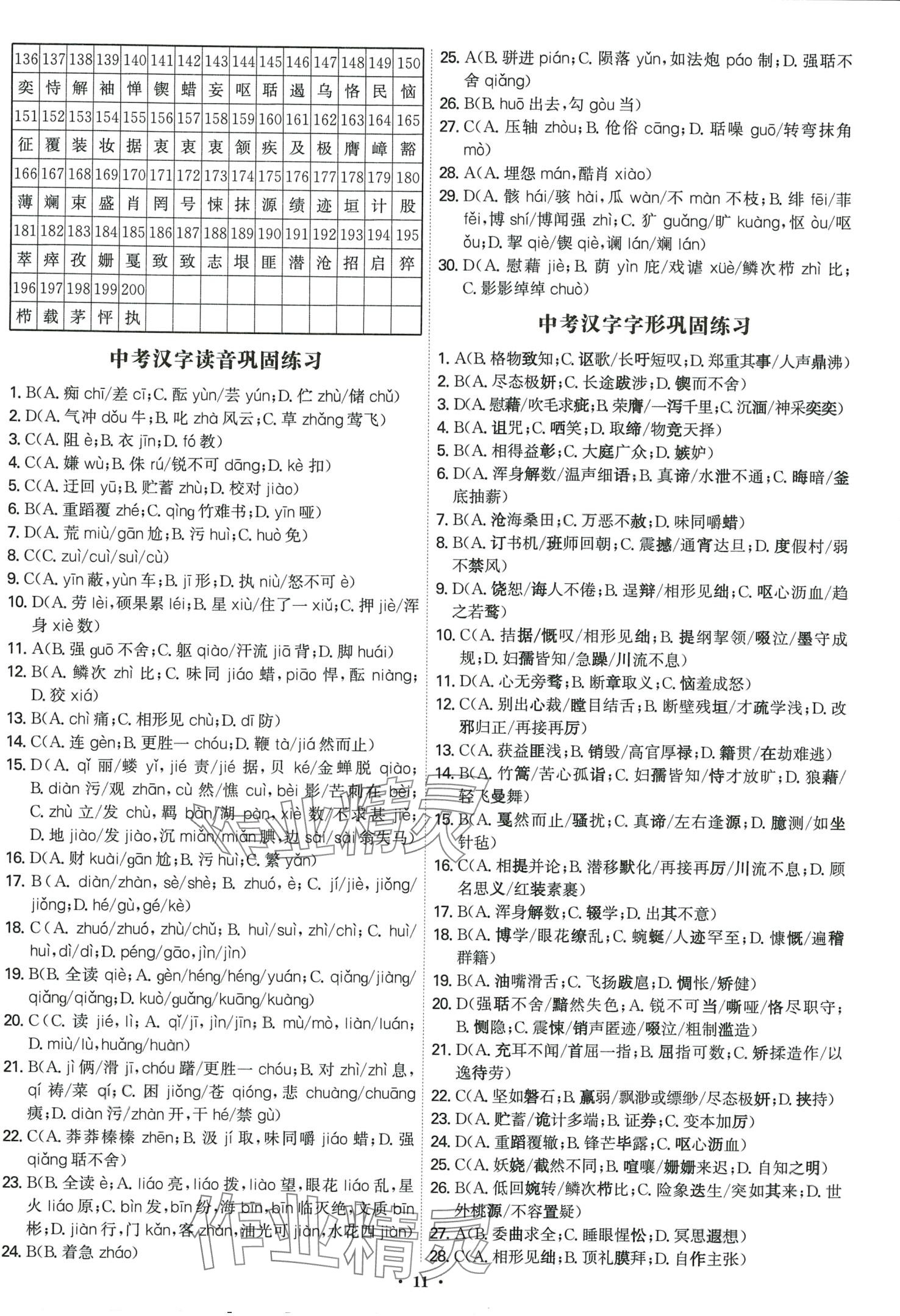 2024年精準初中語文一本通 第11頁