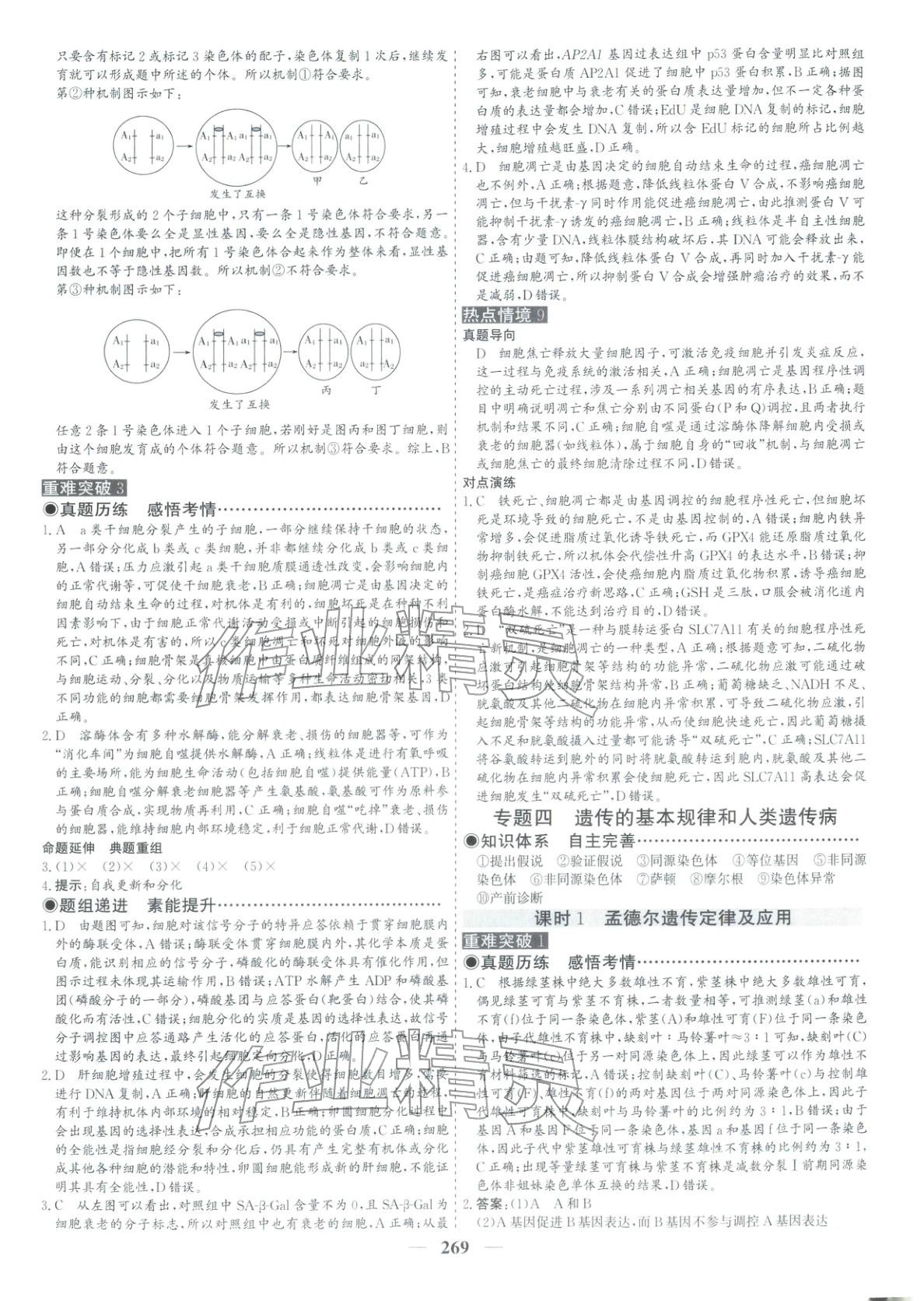 2026年优化探究高考专题复习生物&nbsp;参考答案第11页