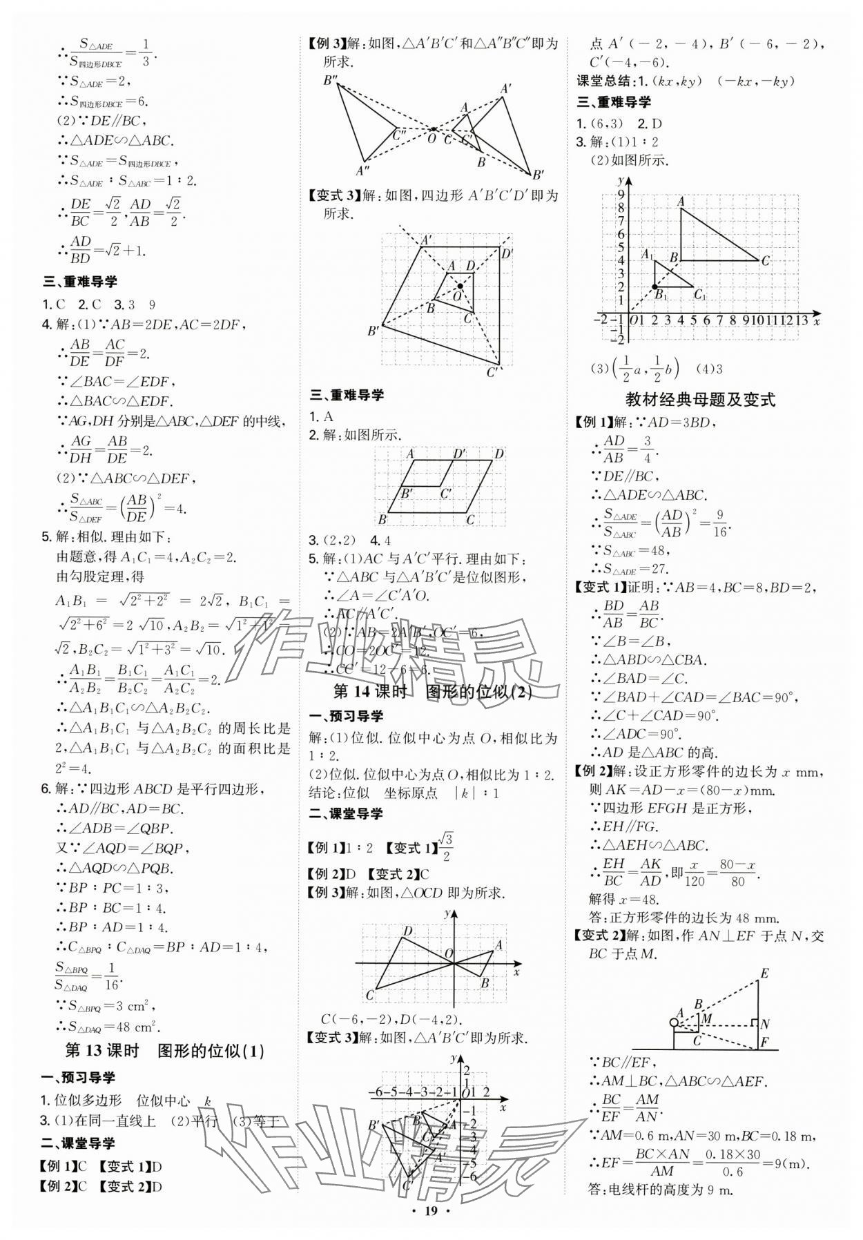 2024年多维导学案九年级数学全一册北师大版 第19页