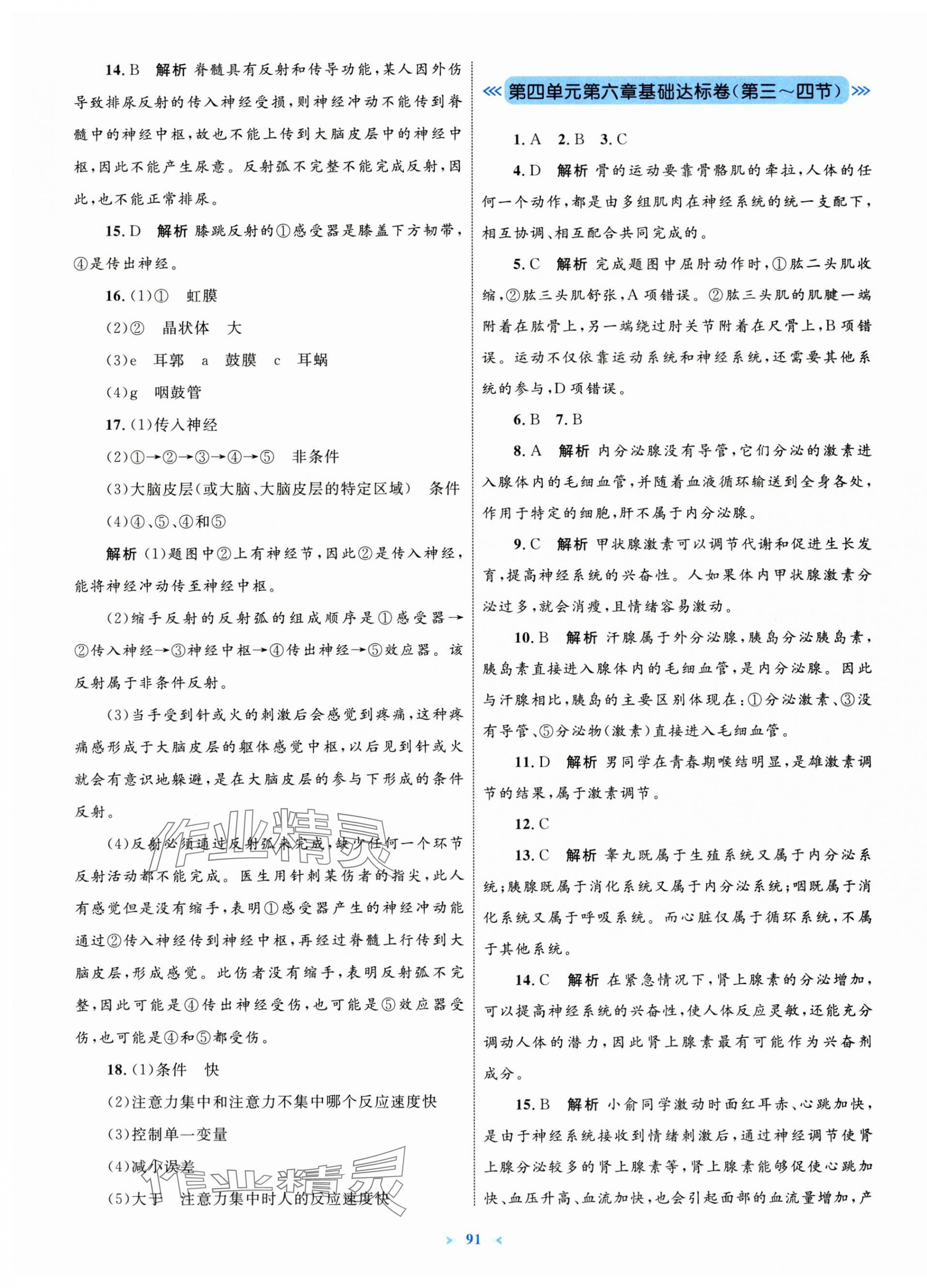 2025年学习目标与检测同步测试卷八年级生物上册人教版 第3页