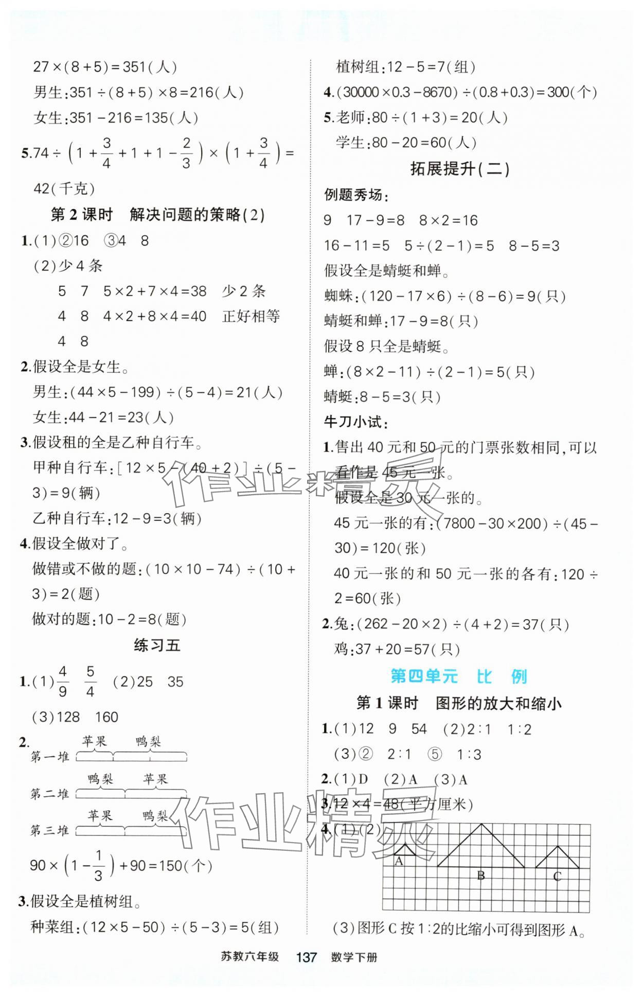 2025年黃岡狀元成才路狀元作業本六年級數學下冊蘇教版 第5頁