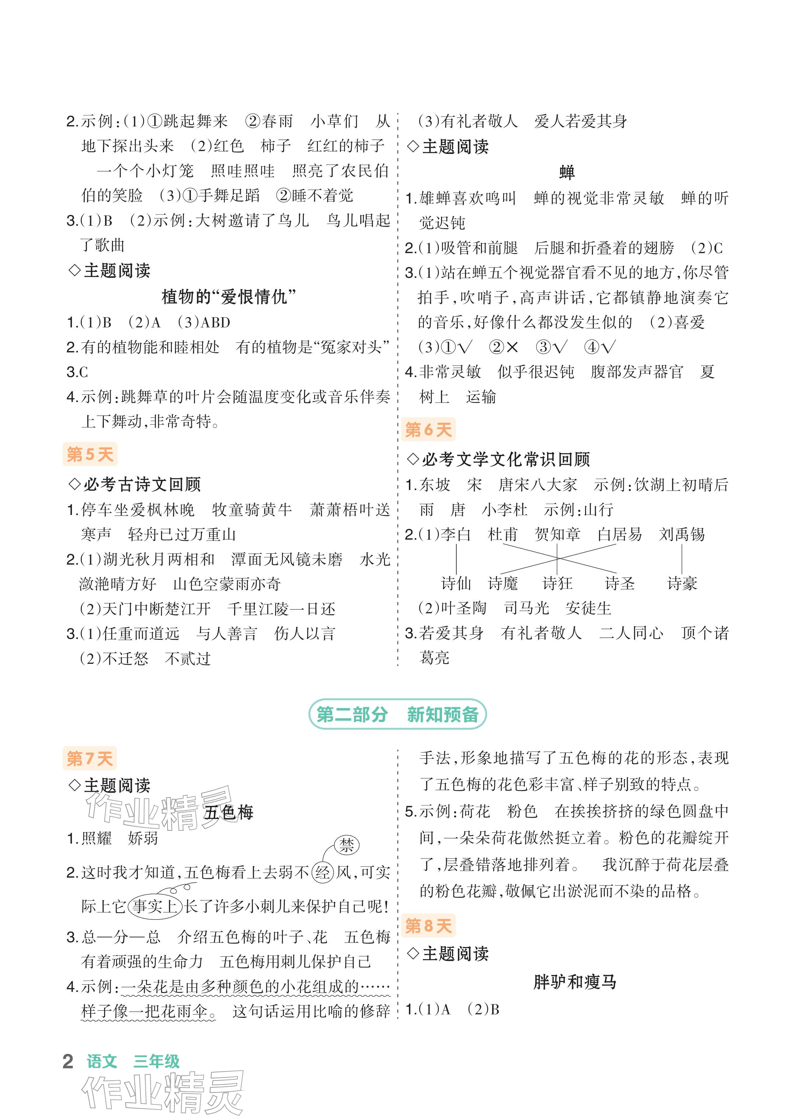 2026年AI智慧寒假衔接三年级语文&nbsp;参考答案第2页