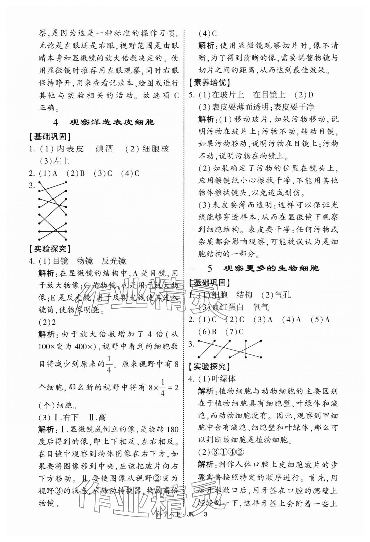 2025年經(jīng)綸學(xué)典提高班六年級(jí)科學(xué)上冊(cè)教科版 第3頁