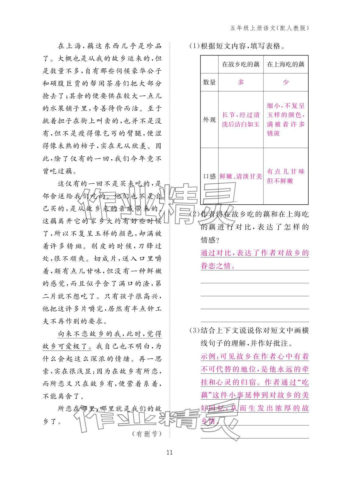 2025年作业本江西教育出版社五年级语文上册人教版 参考答案第11页