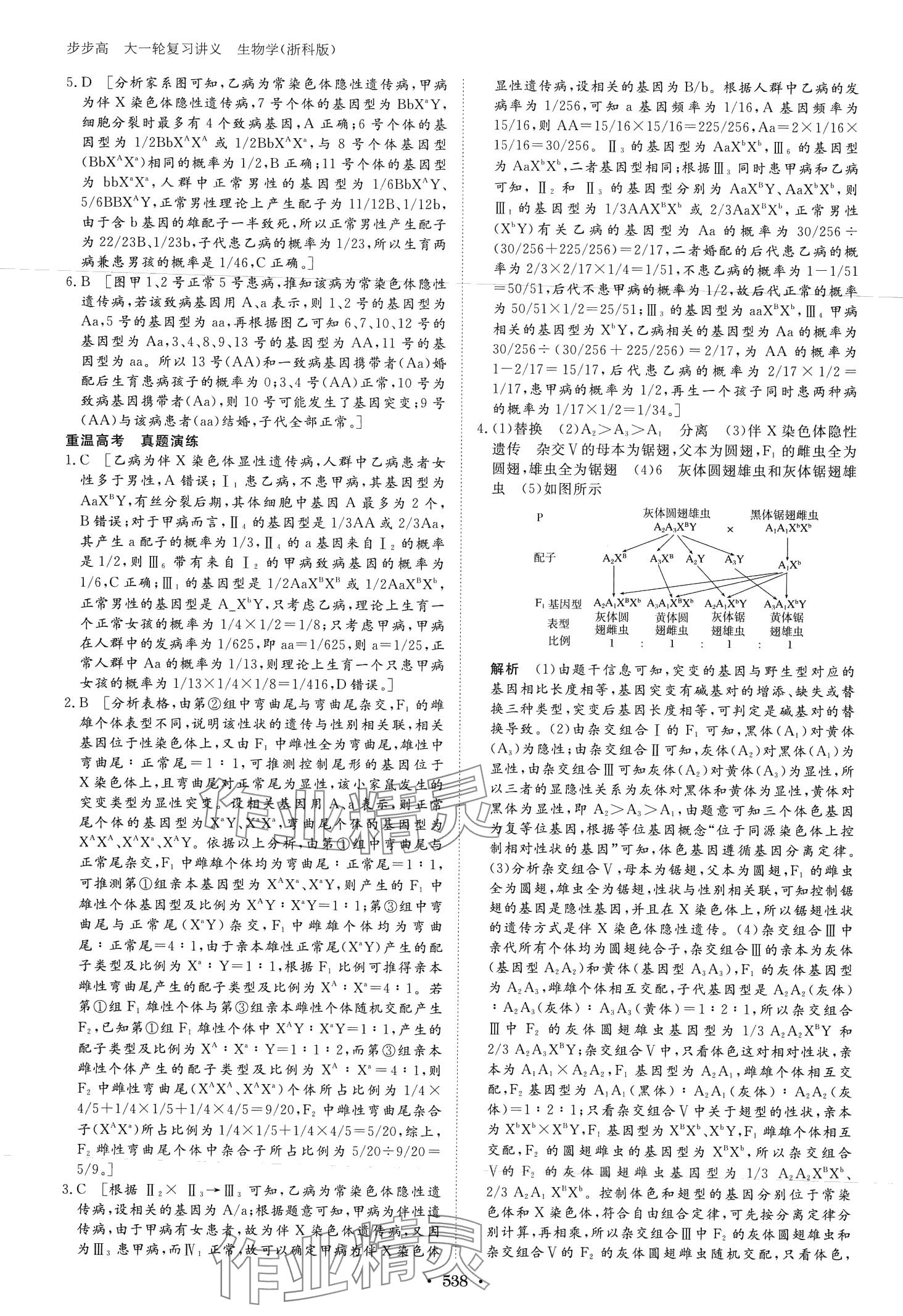 2024年步步高大一輪復(fù)習(xí)講義高中生物浙科版 第28頁