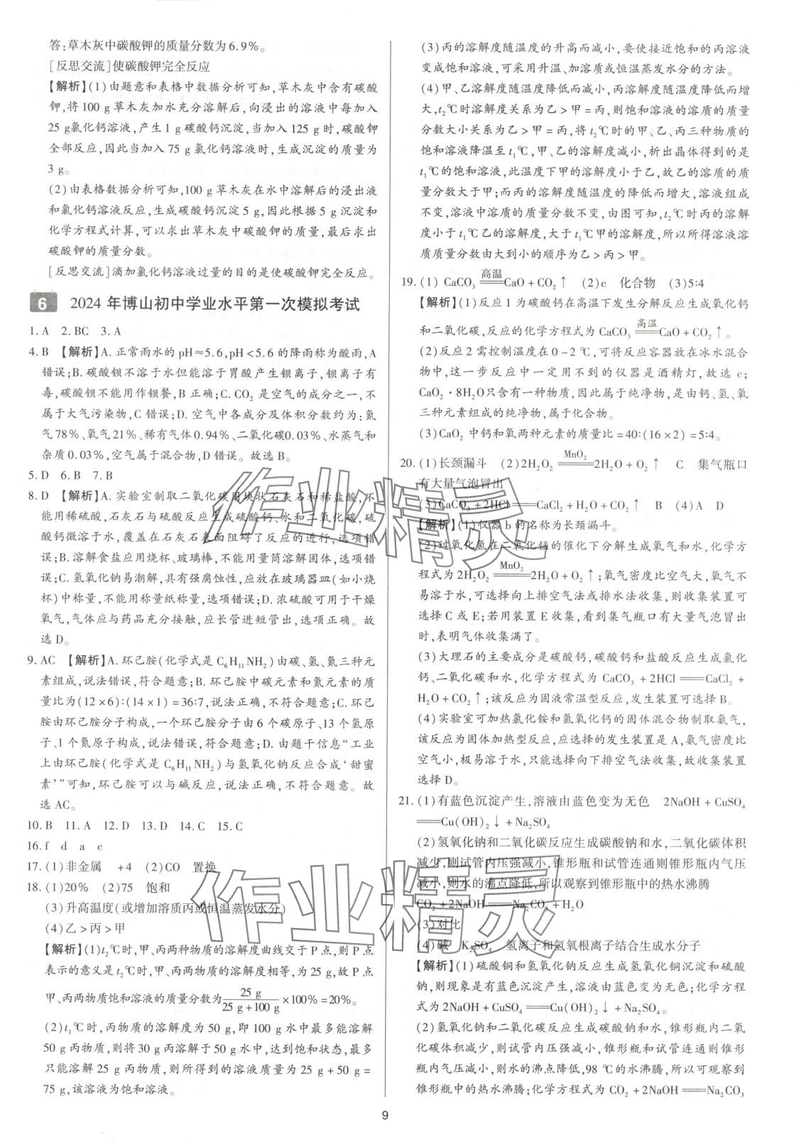2025年中考考前必刷模擬卷化學(xué) 第9頁