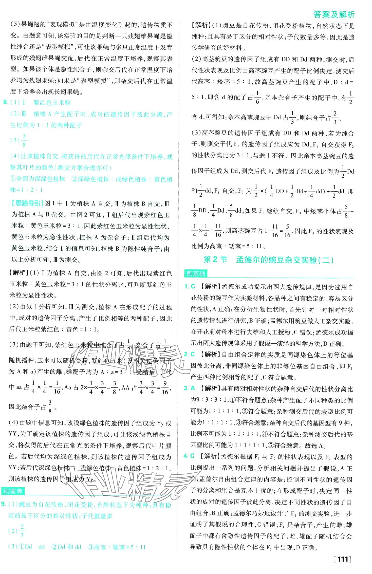 2024年高中必刷題高中生物必修2人教版 第6頁