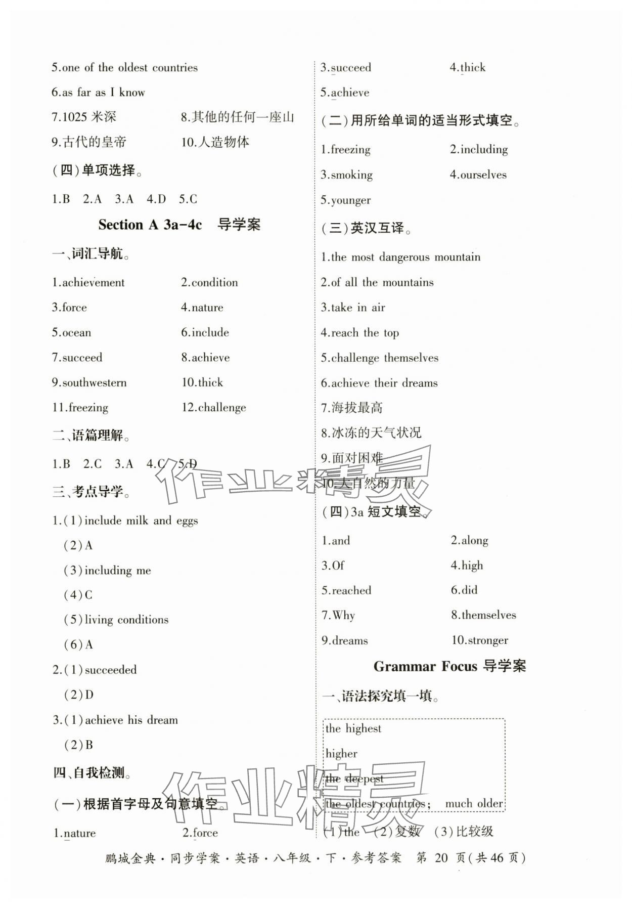 2025年名師幫同步學(xué)案八年級英語下冊人教版 參考答案第20頁