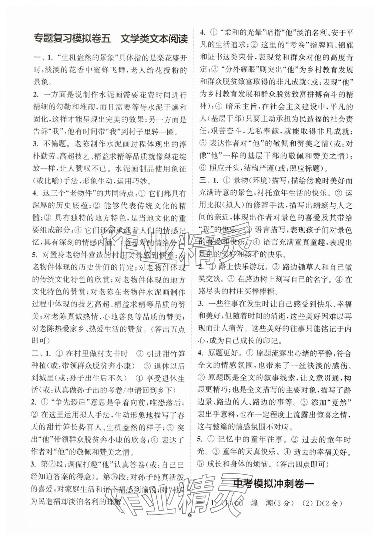 2025年中考專題復(fù)習(xí)模擬沖刺卷語文 第6頁