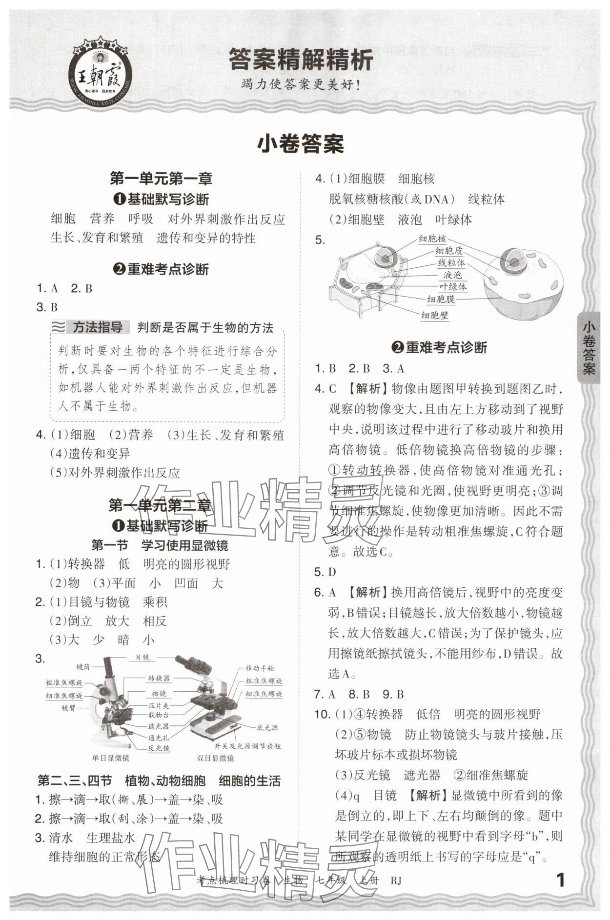 2024年王朝霞考点梳理时习卷七年级生物上册人教版 第1页