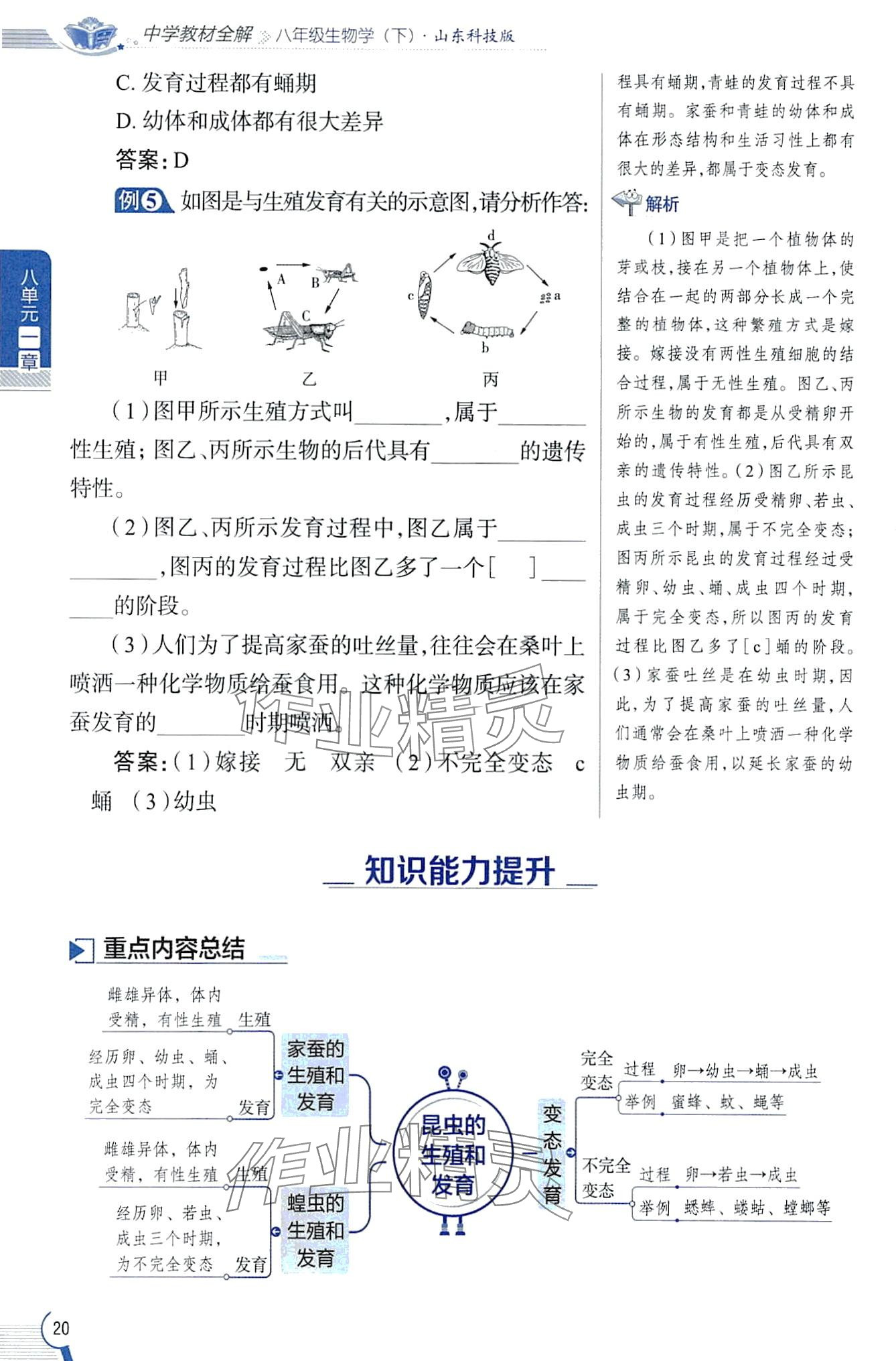 2024年教材課本八年級生物下冊魯科版五四制 第20頁