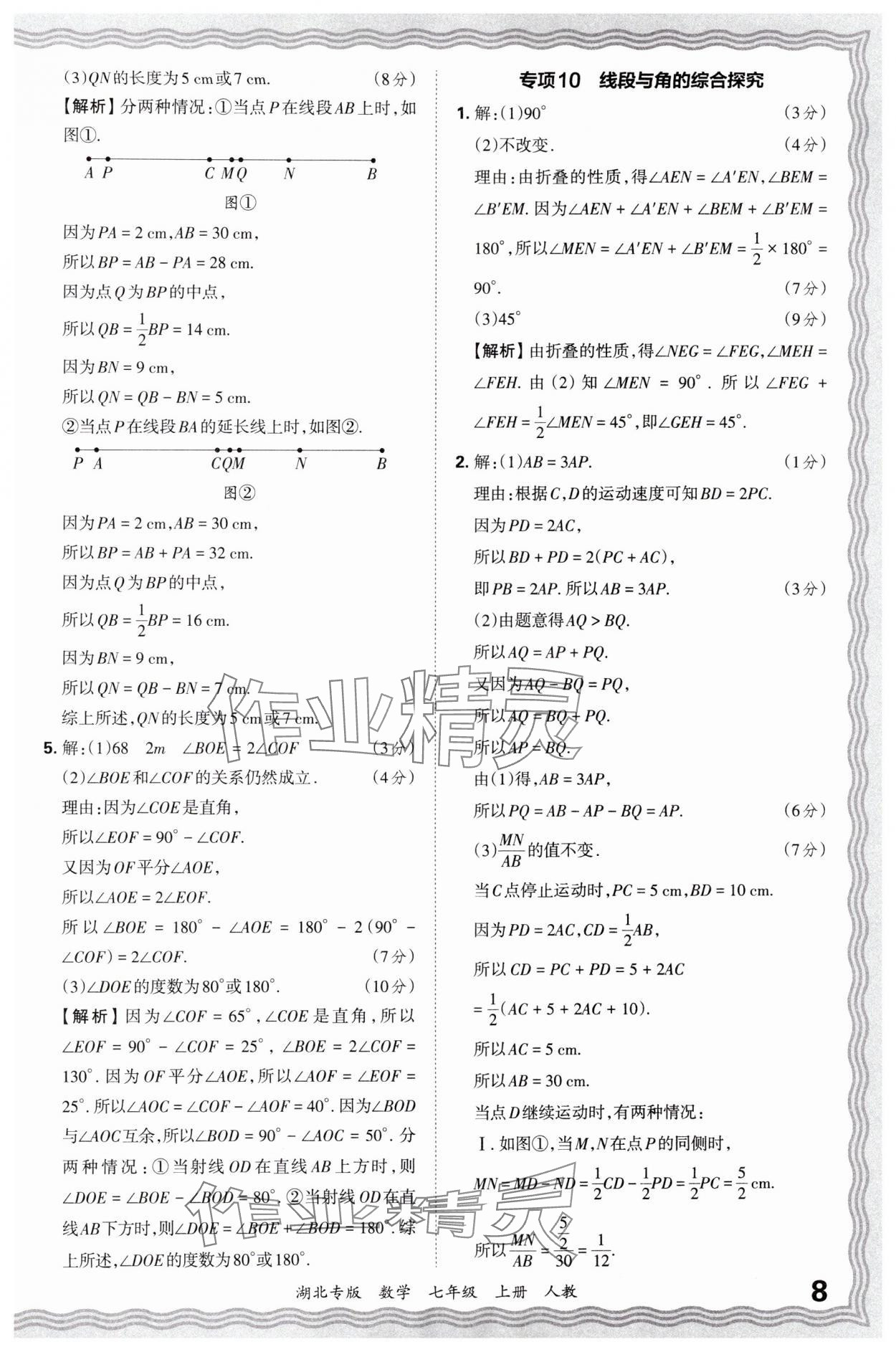 2024年王朝霞各地期末试卷精选七年级数学上册人教版湖北专版 参考答案第8页